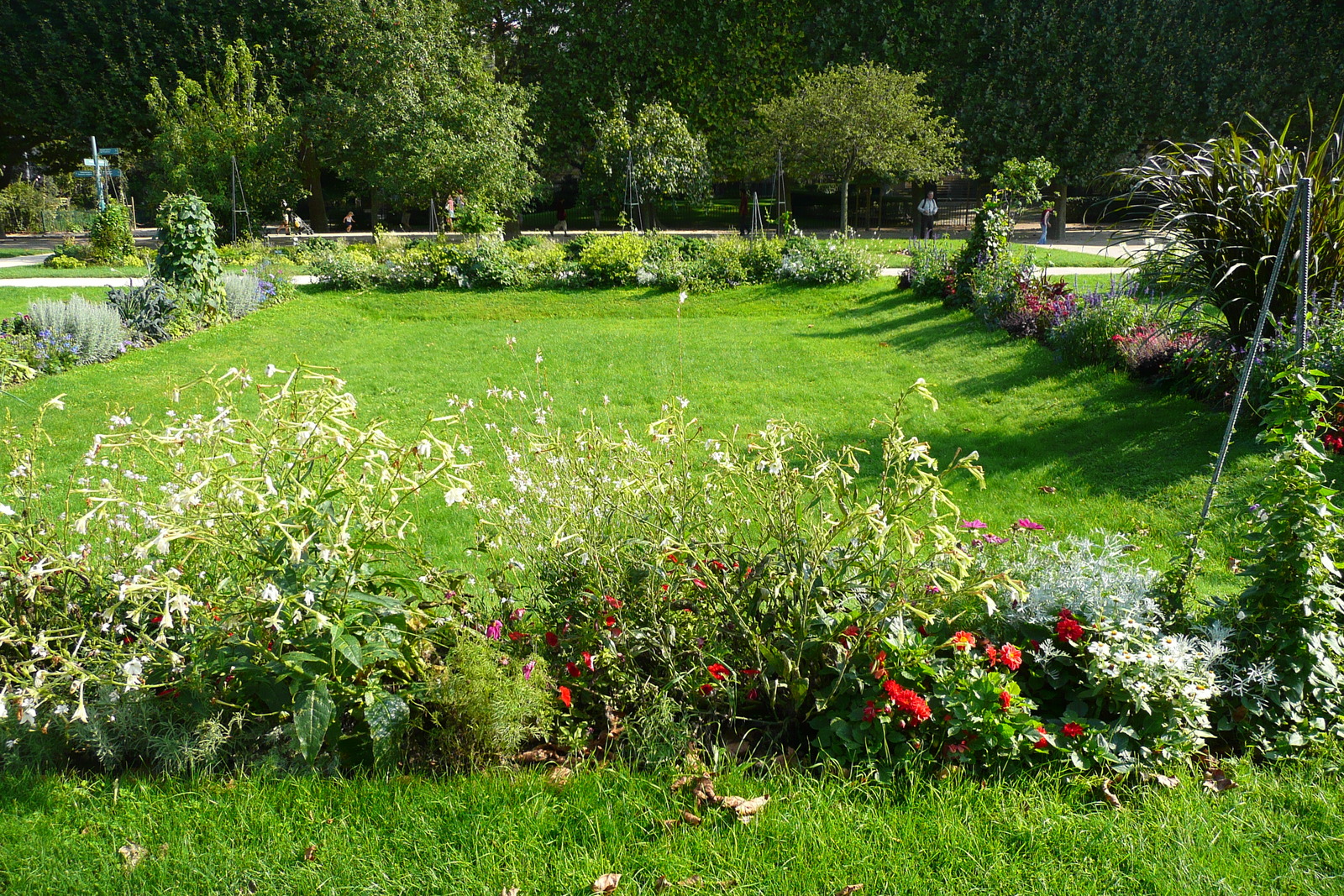 รูปถ่าย ฝรั่งเศส(France) ปารีส(Paris) สวนพันธ์ุพืช(Jardin des Plantes) 2007-08 173