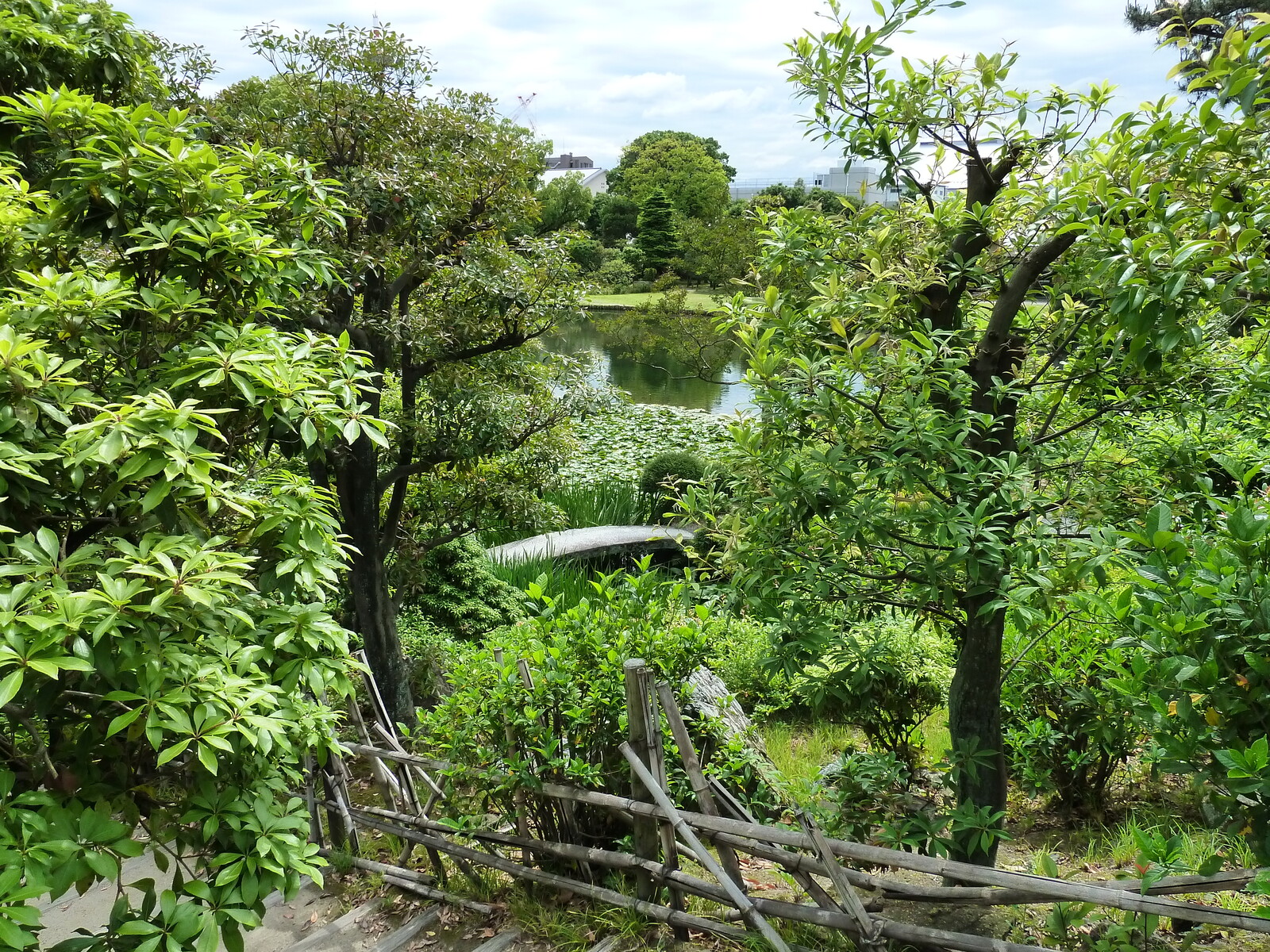 รูปถ่าย ญี่ปุ่น(Japan) เกียวโต(Kyoto) สวนโชเซเอ็ง(Shosei en Garden) 2010-06 34