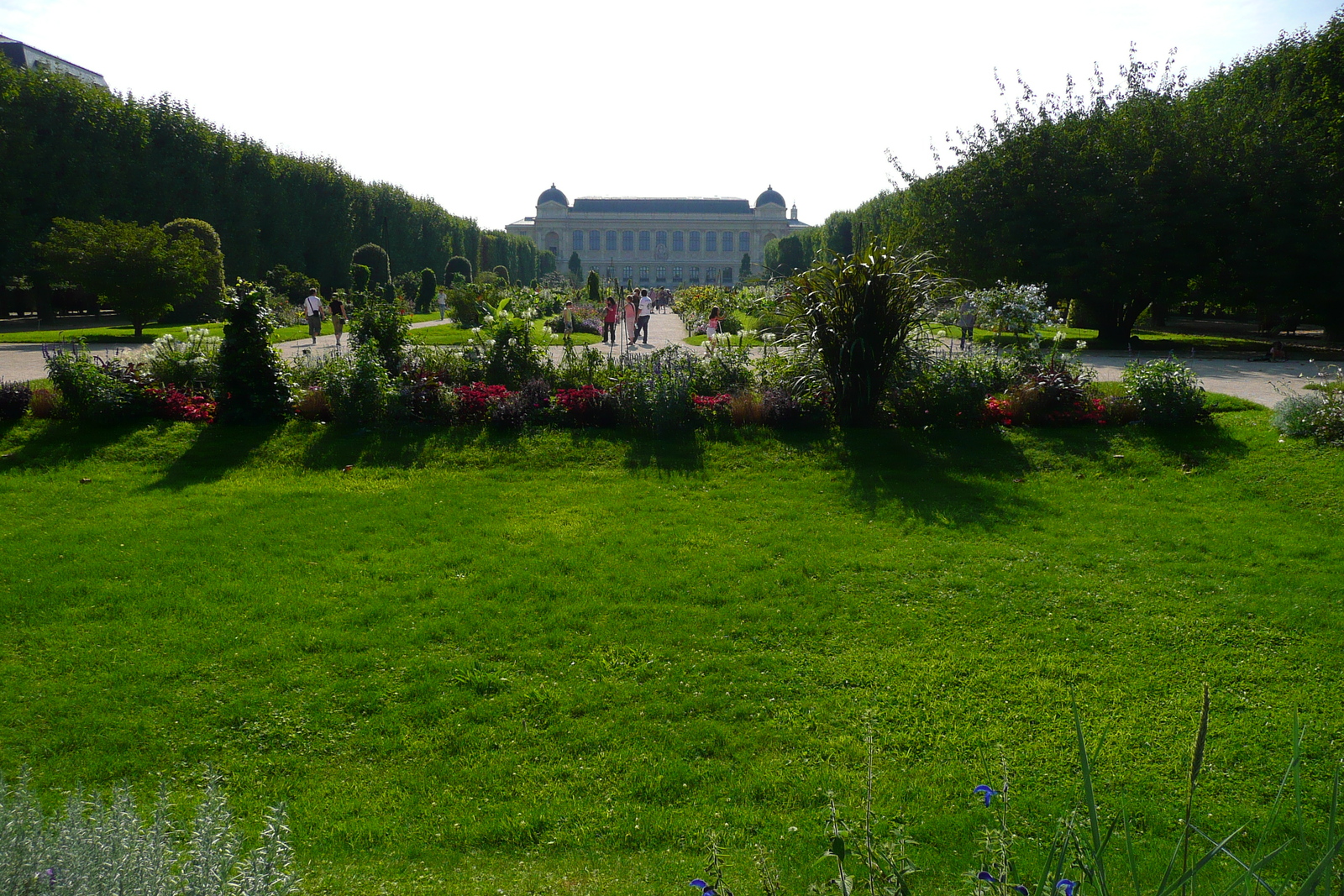 รูปถ่าย ฝรั่งเศส(France) ปารีส(Paris) สวนพันธ์ุพืช(Jardin des Plantes) 2007-08 191