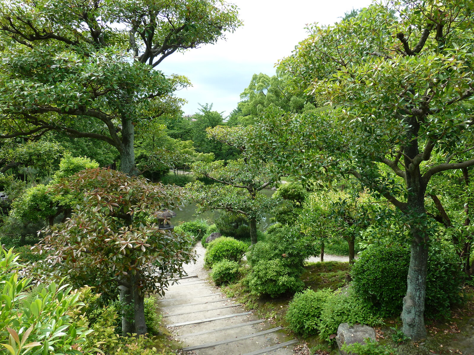 รูปถ่าย ญี่ปุ่น(Japan) เกียวโต(Kyoto) สวนโชเซเอ็ง(Shosei en Garden) 2010-06 28
