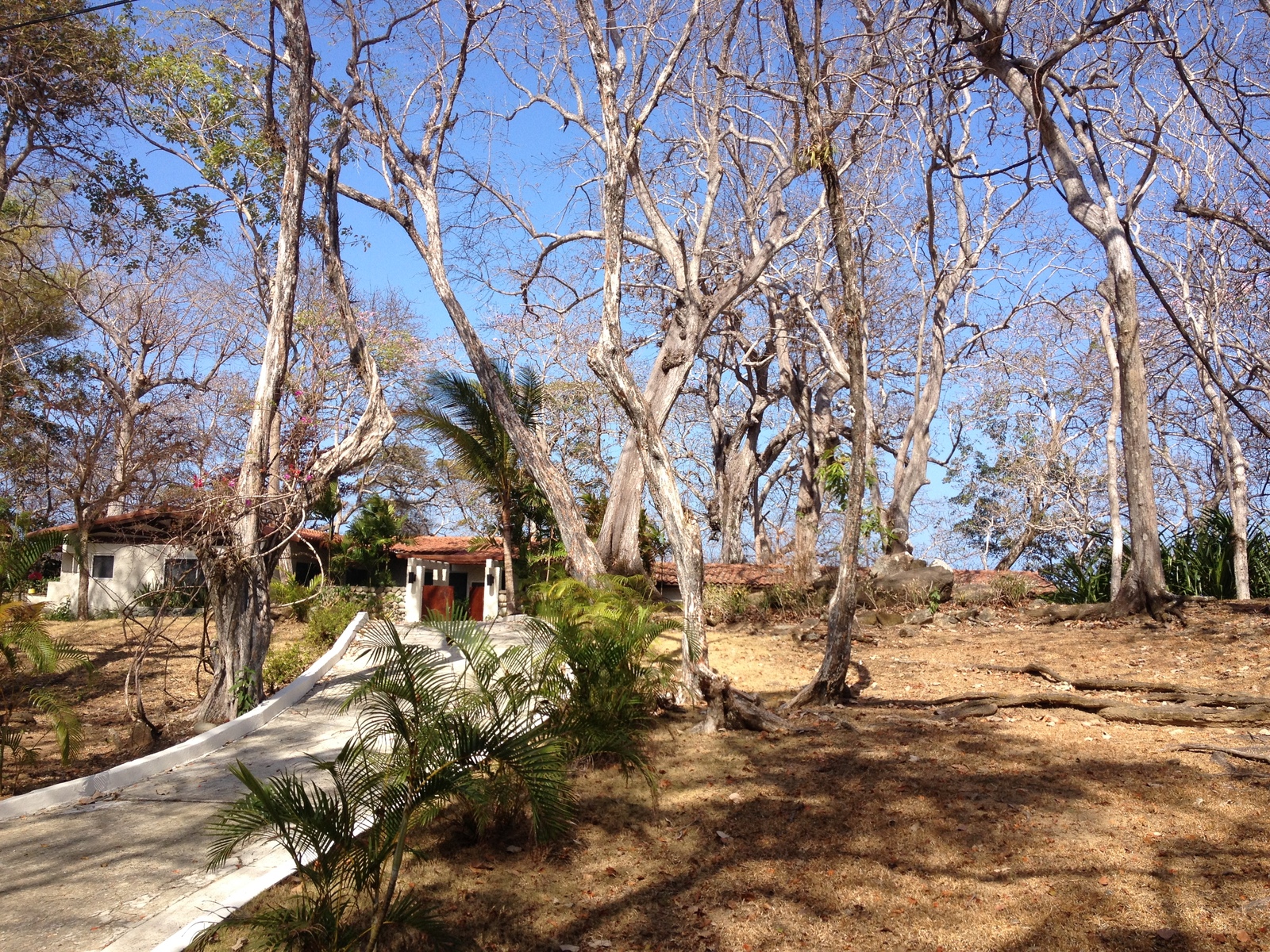 รูปถ่าย ปานามา(Panama) เกาะคอนตาโดรา(Contadora Island) 2015-03 145