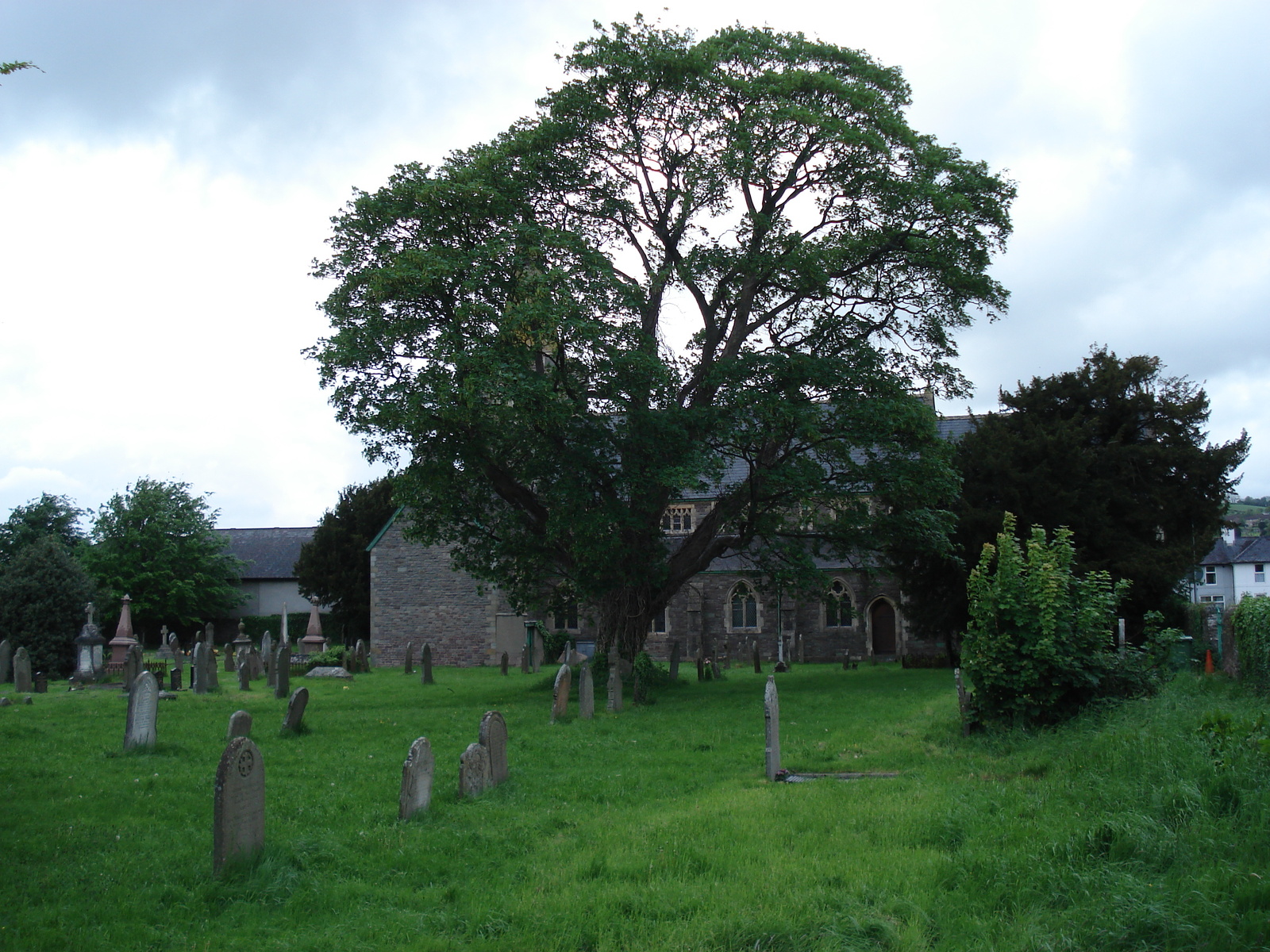 รูปถ่าย อังกฤษ(United Kingdom) บรีคอน(Brecon) 2006-05 48