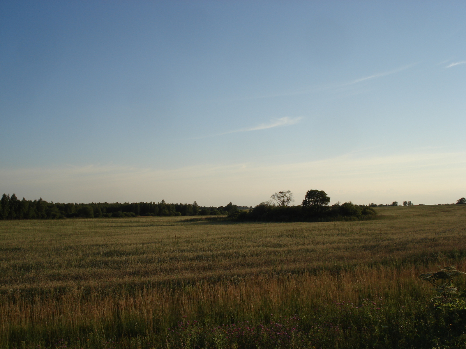 รูปถ่าย รัสเซีย(Russia) จากซูซดัลไปยาโรสลาฟล์(From Suzdal to Yaroslavl) 2006-07 3
