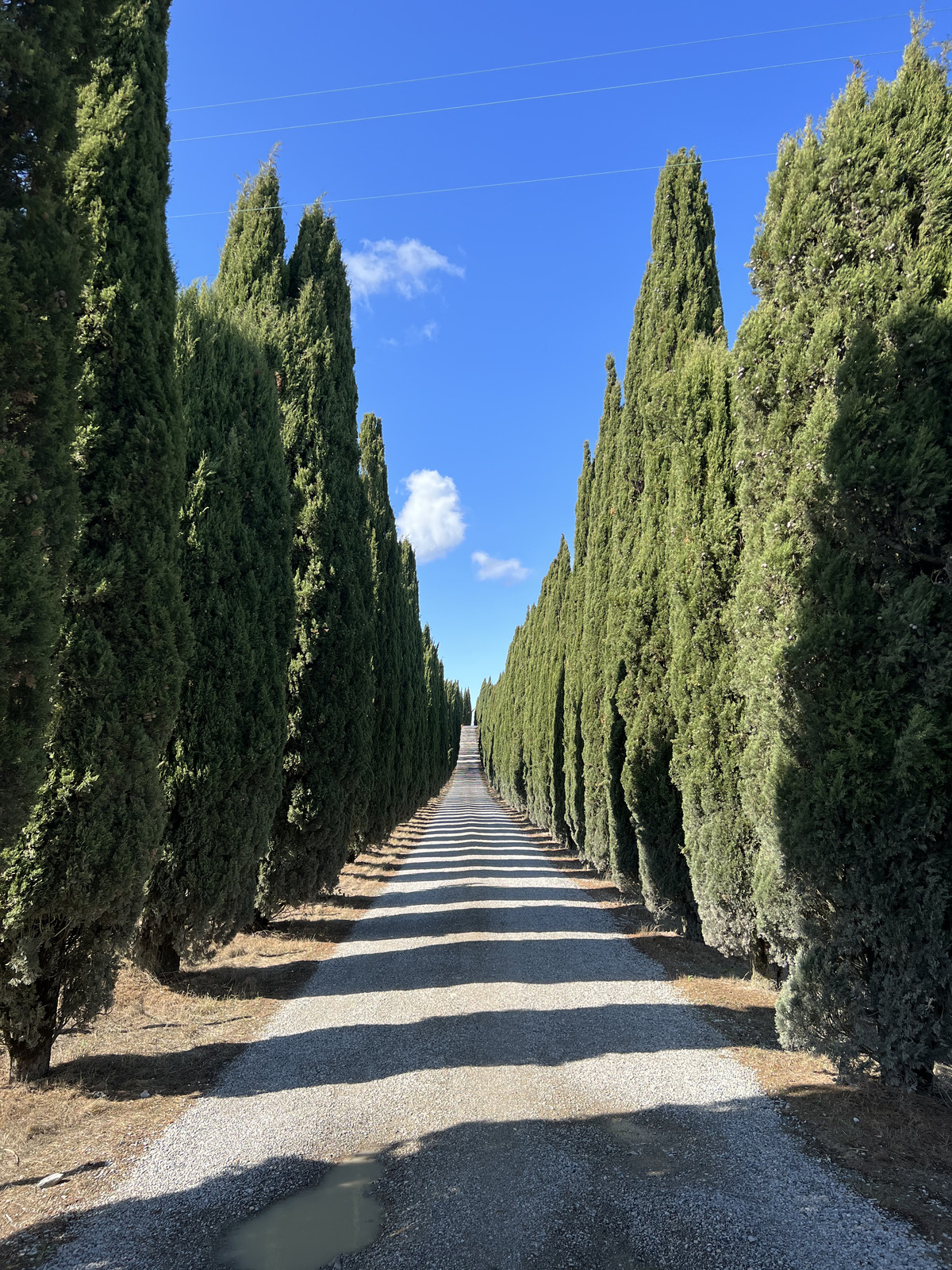 รูปถ่าย อิตาลี(Italy) ทัสคานี(Tuscany) 2021-09 5