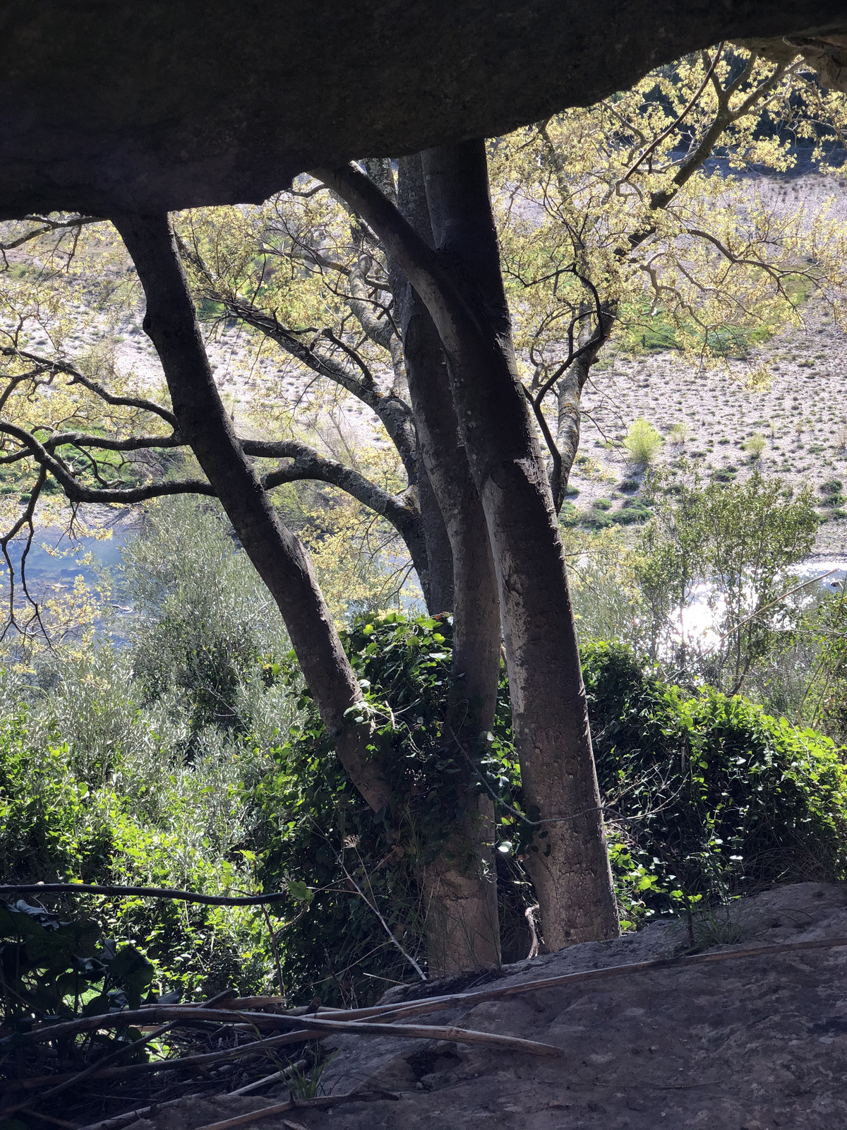 รูปถ่าย ฝรั่งเศส(France) นีเมอ(Nimes) 2021-05 55