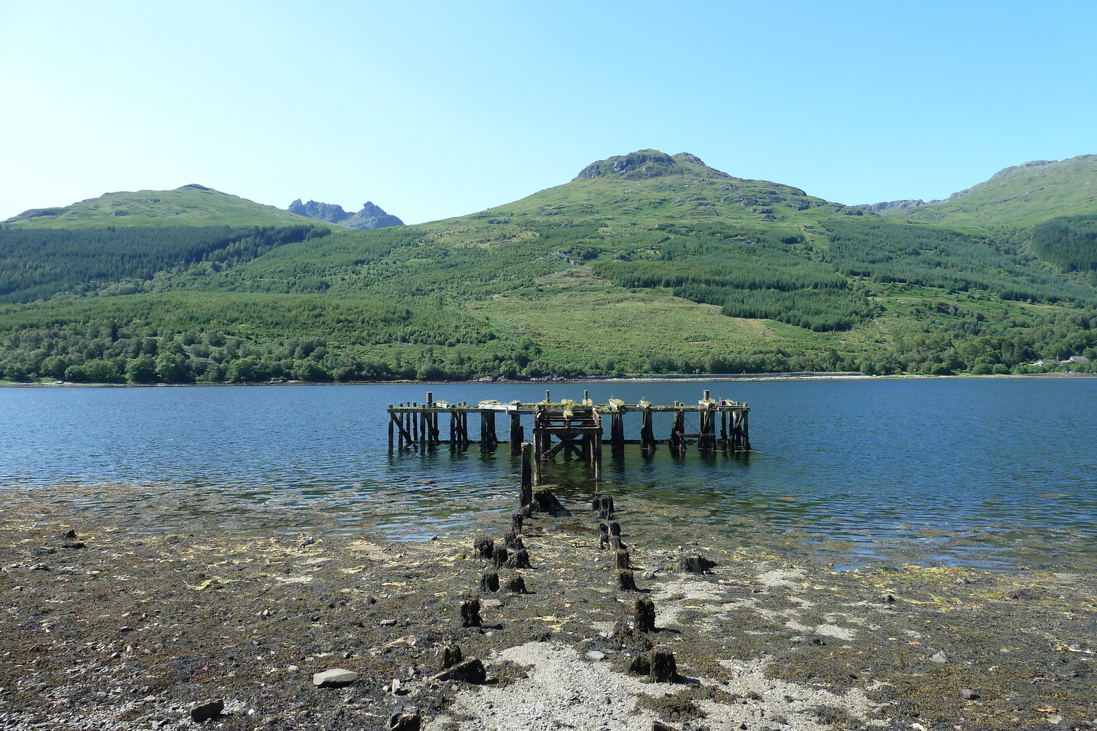 รูปถ่าย อังกฤษ(United Kingdom) สกอตแลนด์(Scotland) 2011-07 90