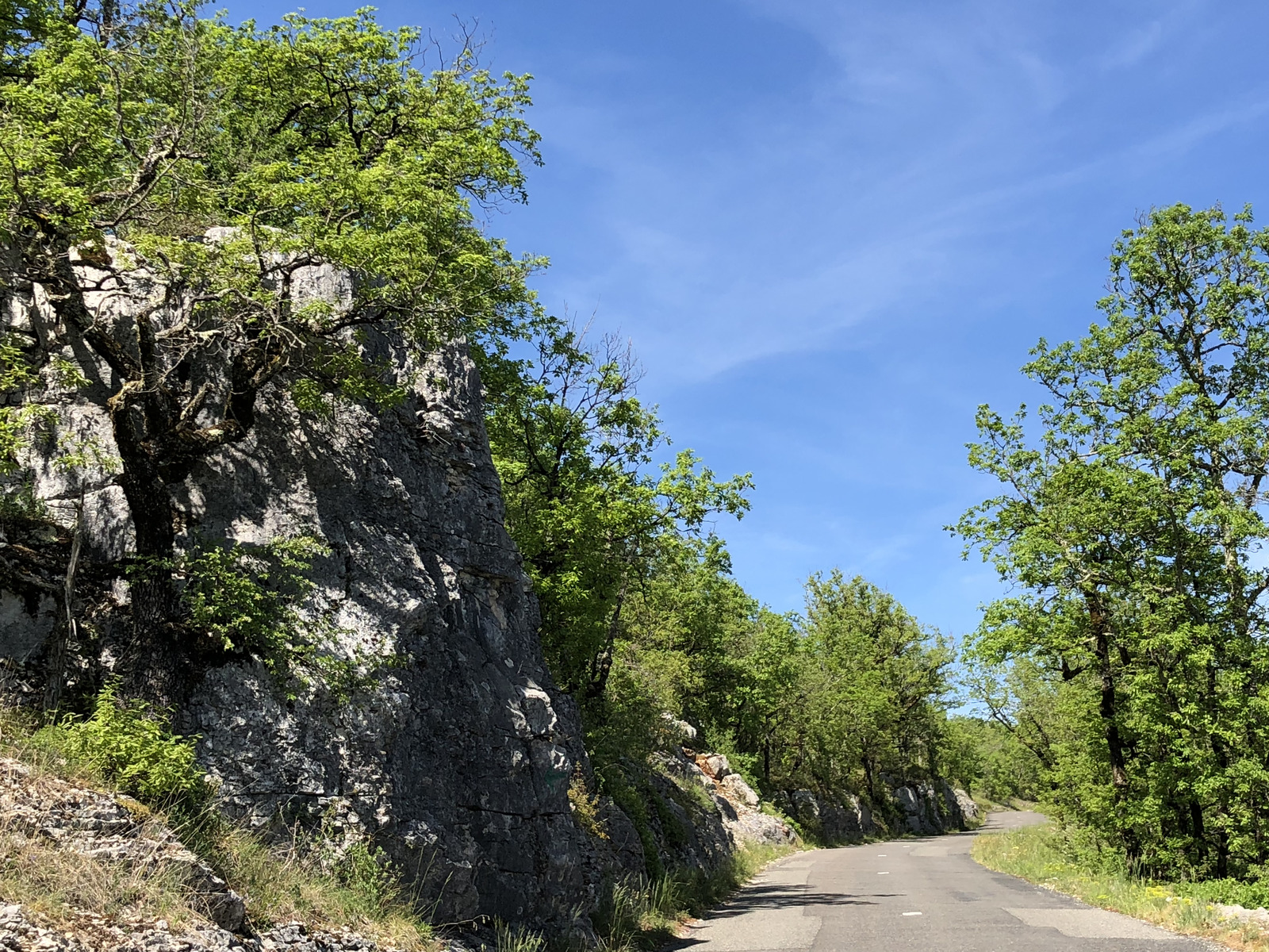 รูปถ่าย ฝรั่งเศส(France) ฟลัวรัก(Floirac) 2018-04 68