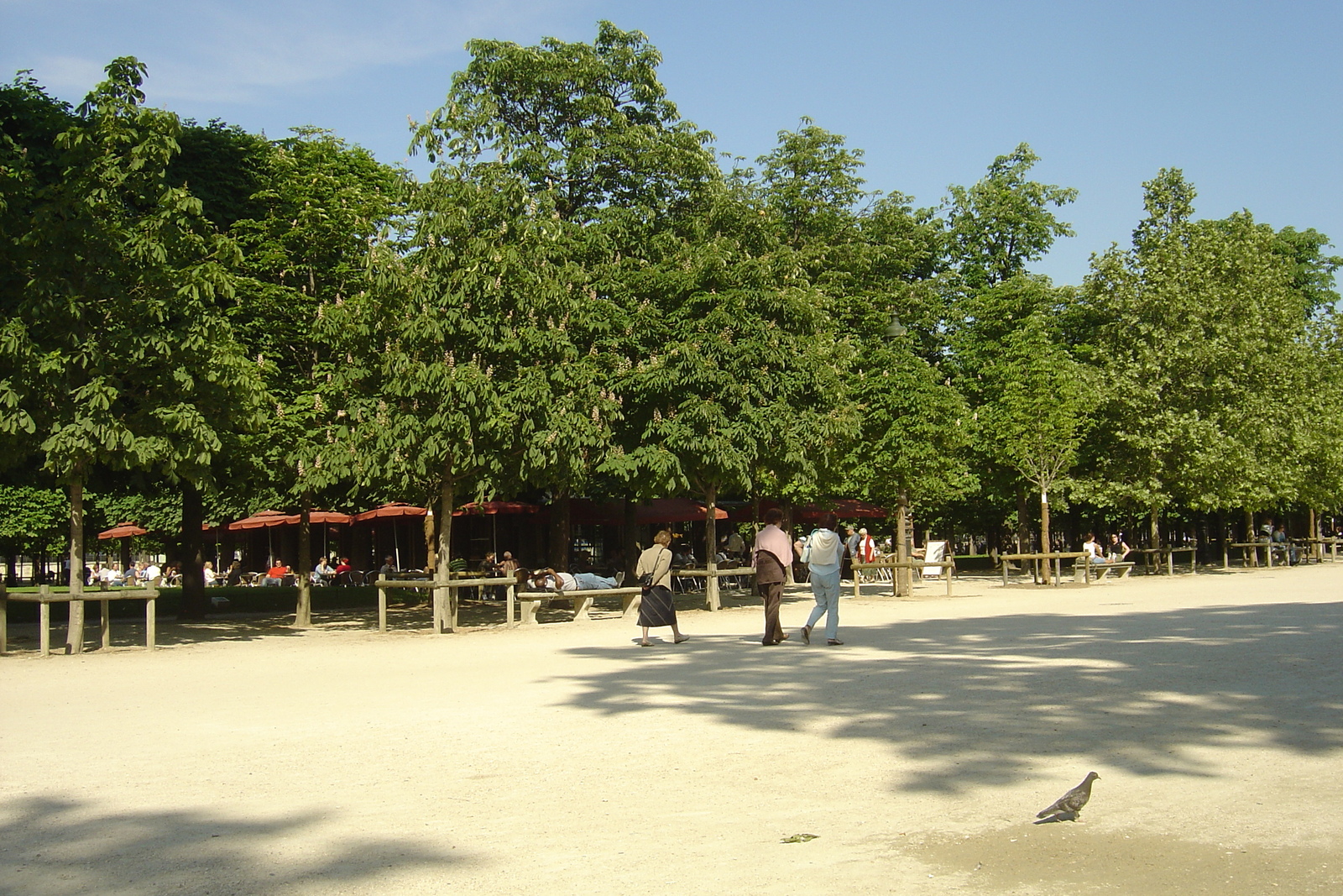รูปถ่าย ฝรั่งเศส(France) ปารีส(Paris) สวนตุยเลอรี(Garden of Tuileries) 2007-05 175