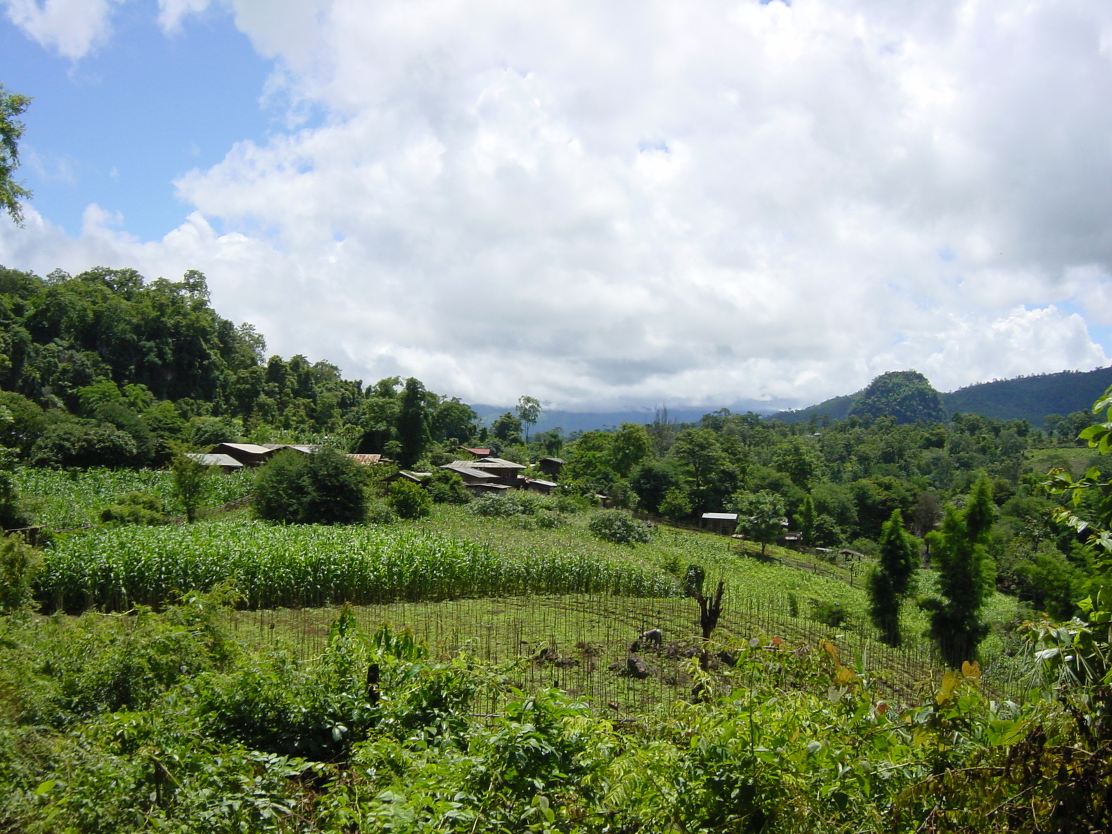 รูปถ่าย ไทย(Thailand) แม่ฮ่องสอน(Mae Hong Son) 2003-07 102