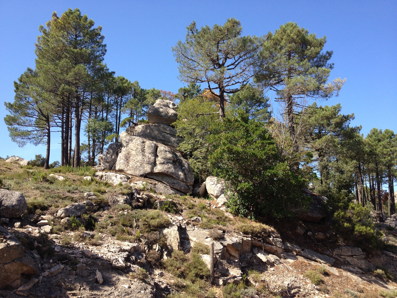 รูปถ่าย ฝรั่งเศส(France) คอร์สิคา(Corsica) ป่าลอสเปดาเล(L'ospedale Forest) 2012-09 11