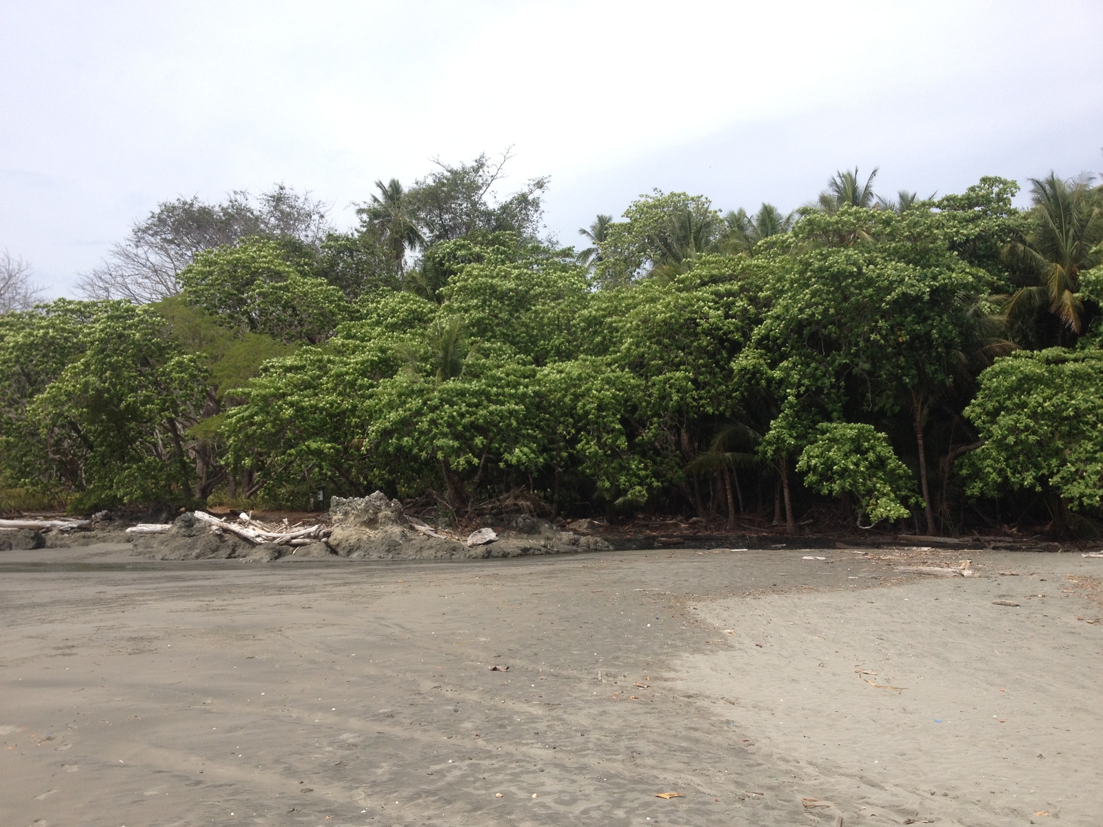 รูปถ่าย คอสตาริกา(Costa Rica) มอนเตซูมา(Montezuma) 2015-03 205