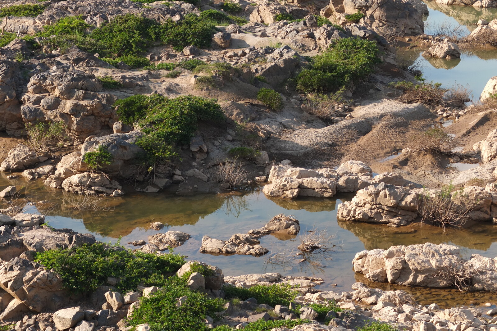 รูปถ่าย ไทย(Thailand) แม่น้ำโขง(Mekong river) 2012-12 77