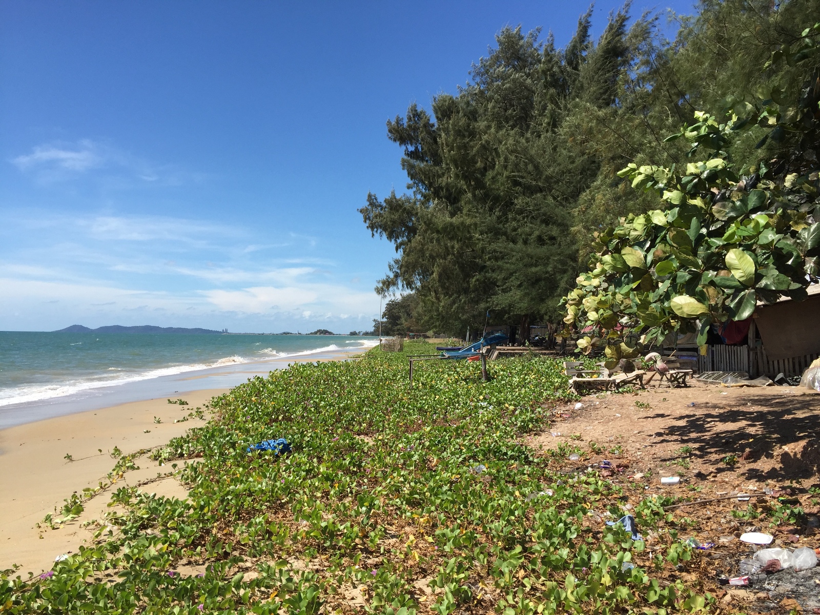 รูปถ่าย ไทย(Thailand) โรงแรมแมริออท ระยอง(Marriott Rayong) 2016-01 106