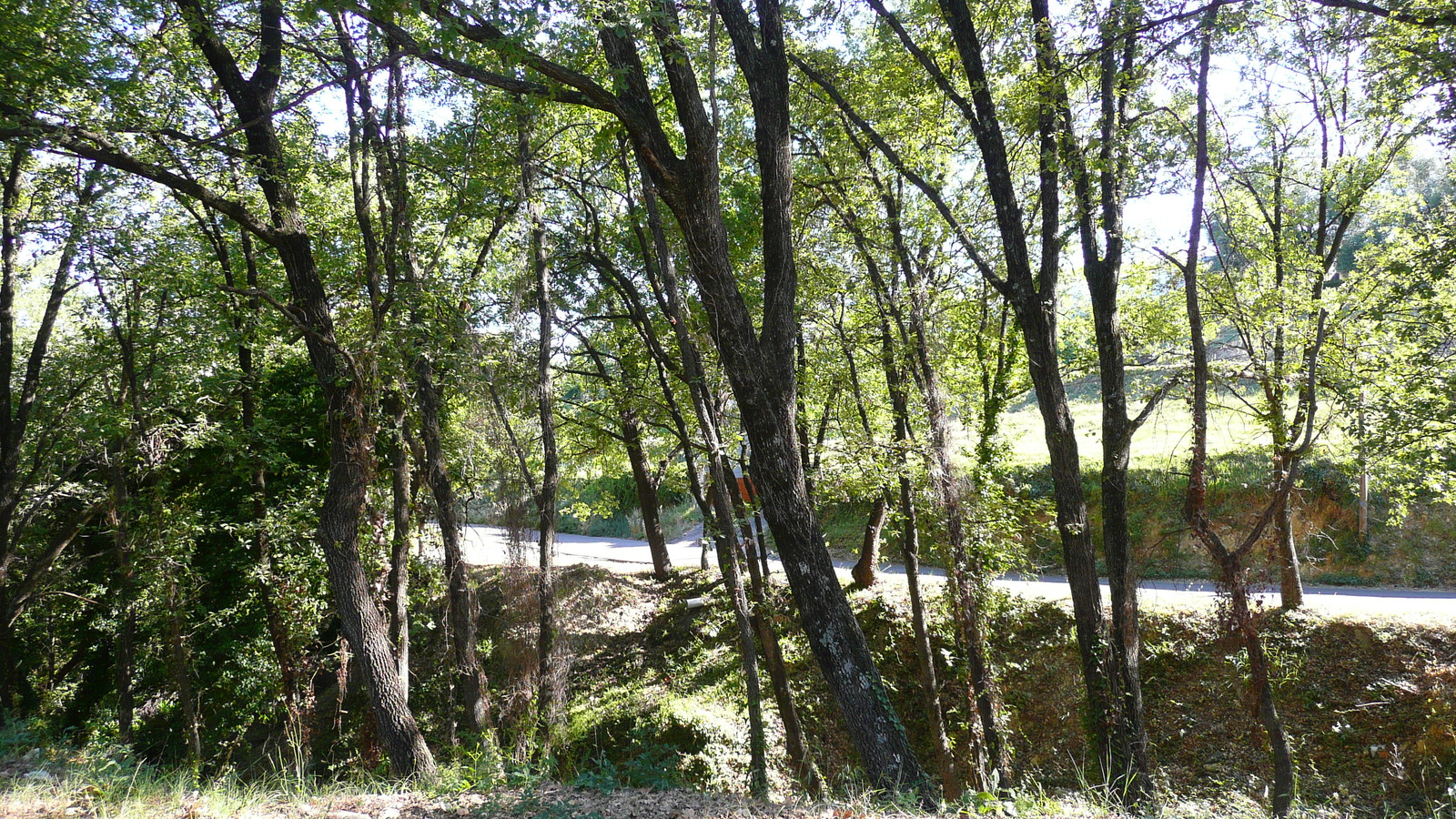 รูปถ่าย ฝรั่งเศส(France) ลาโกด(La Gaude) 2007-07 52