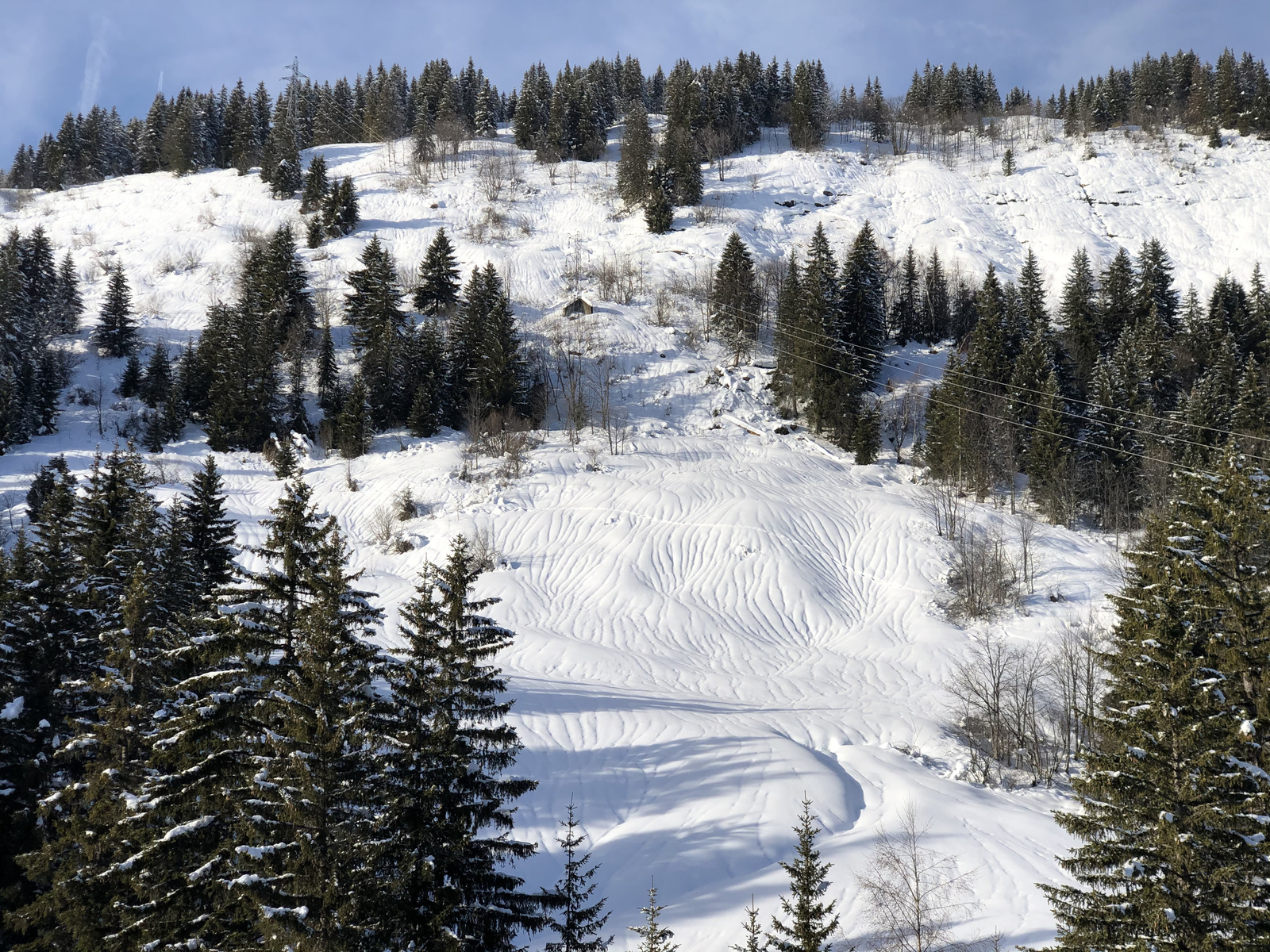 รูปถ่าย ฝรั่งเศส(France) ปรา-ซูร์-อาร์ลี(Praz sur Arly) 2019-12 328