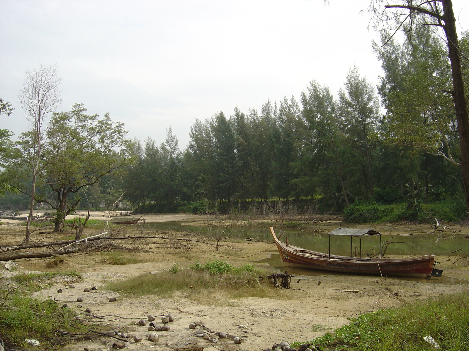 รูปถ่าย ไทย(Thailand) เขาหลัก(Khao Lak) หาดบางสัก(Bang Sak Beach) 2005-12 42