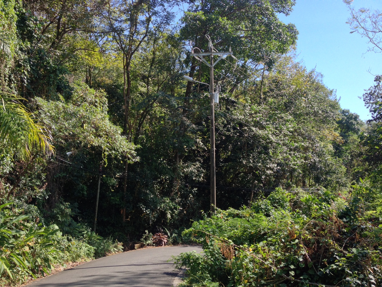 รูปถ่าย คอสตาริกา(Costa Rica) มานวยล์อันโตนีโอ(Manuel Antonio) 2015-03 54