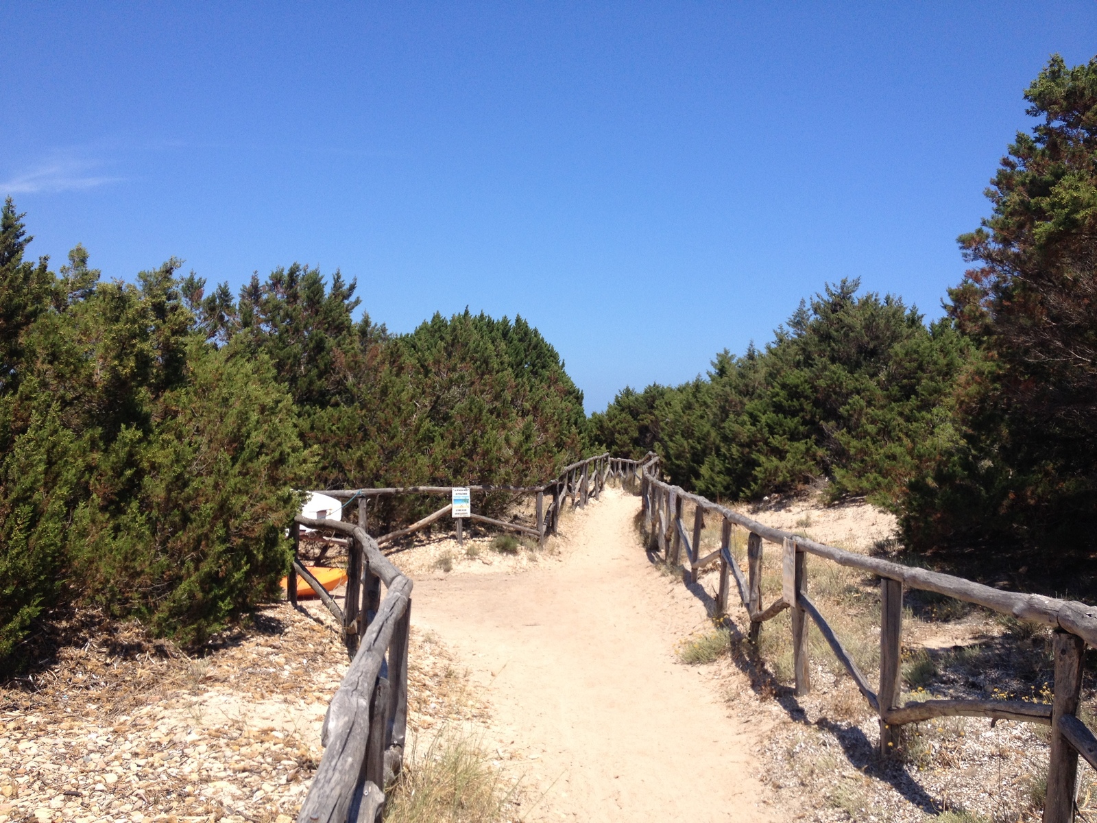 รูปถ่าย อิตาลี(Italy) ซาร์ดิเนีย(Sardinia) แหลมกาโปโกดากาวัลโล(Capo Coda Cavallo) 2015-06 83