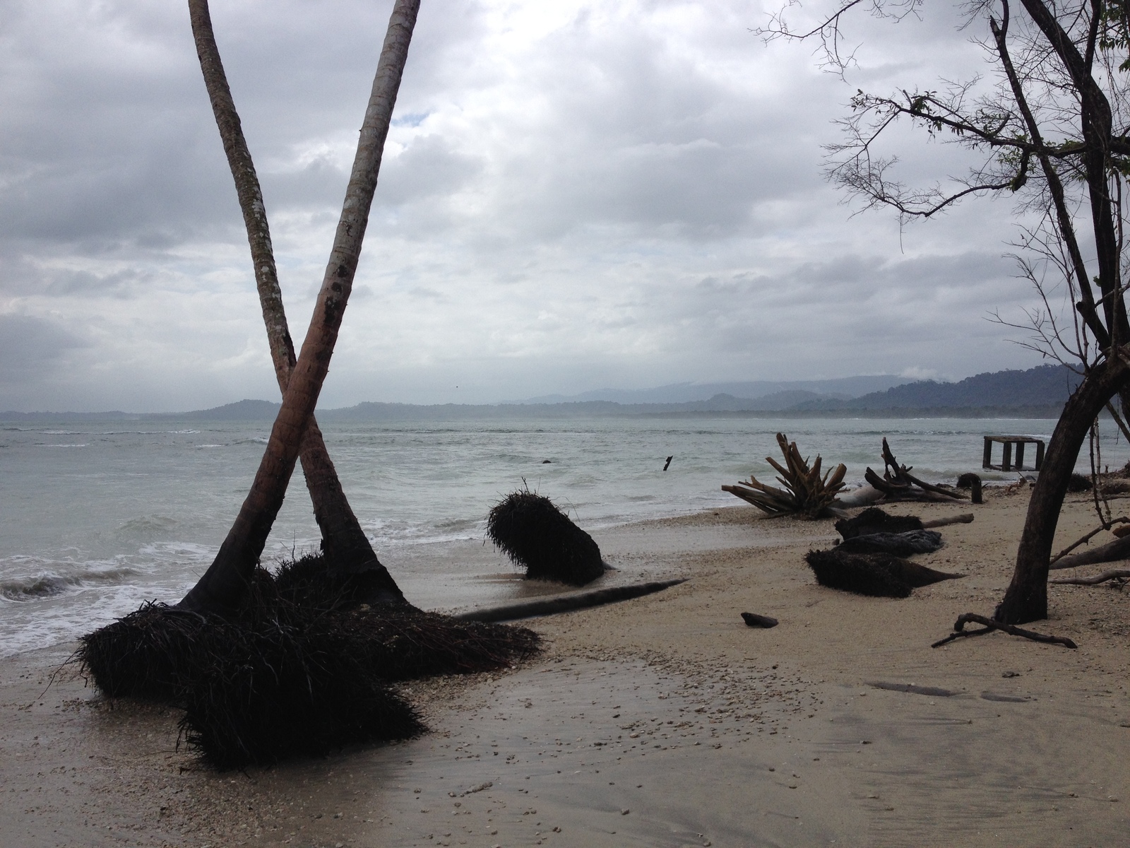 รูปถ่าย คอสตาริกา(Costa Rica) กาอุยตา(Cahuita) 2015-03 7