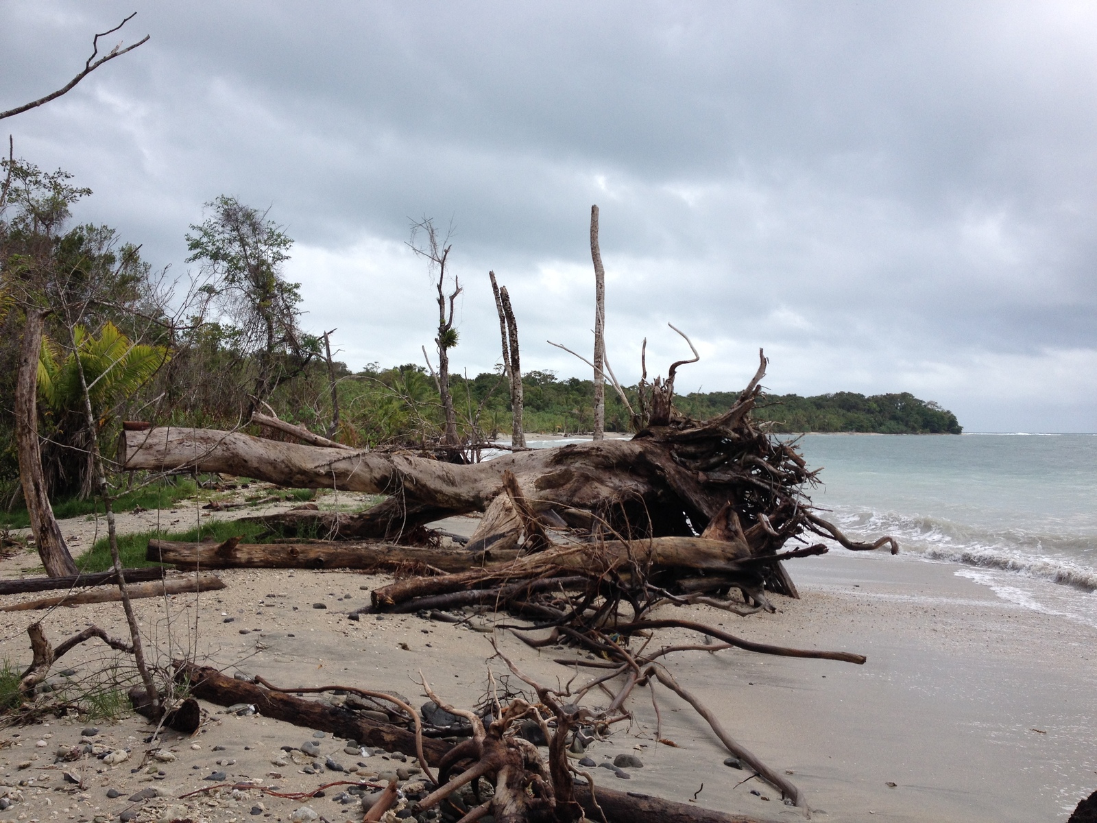 รูปถ่าย คอสตาริกา(Costa Rica) กาอุยตา(Cahuita) 2015-03 10