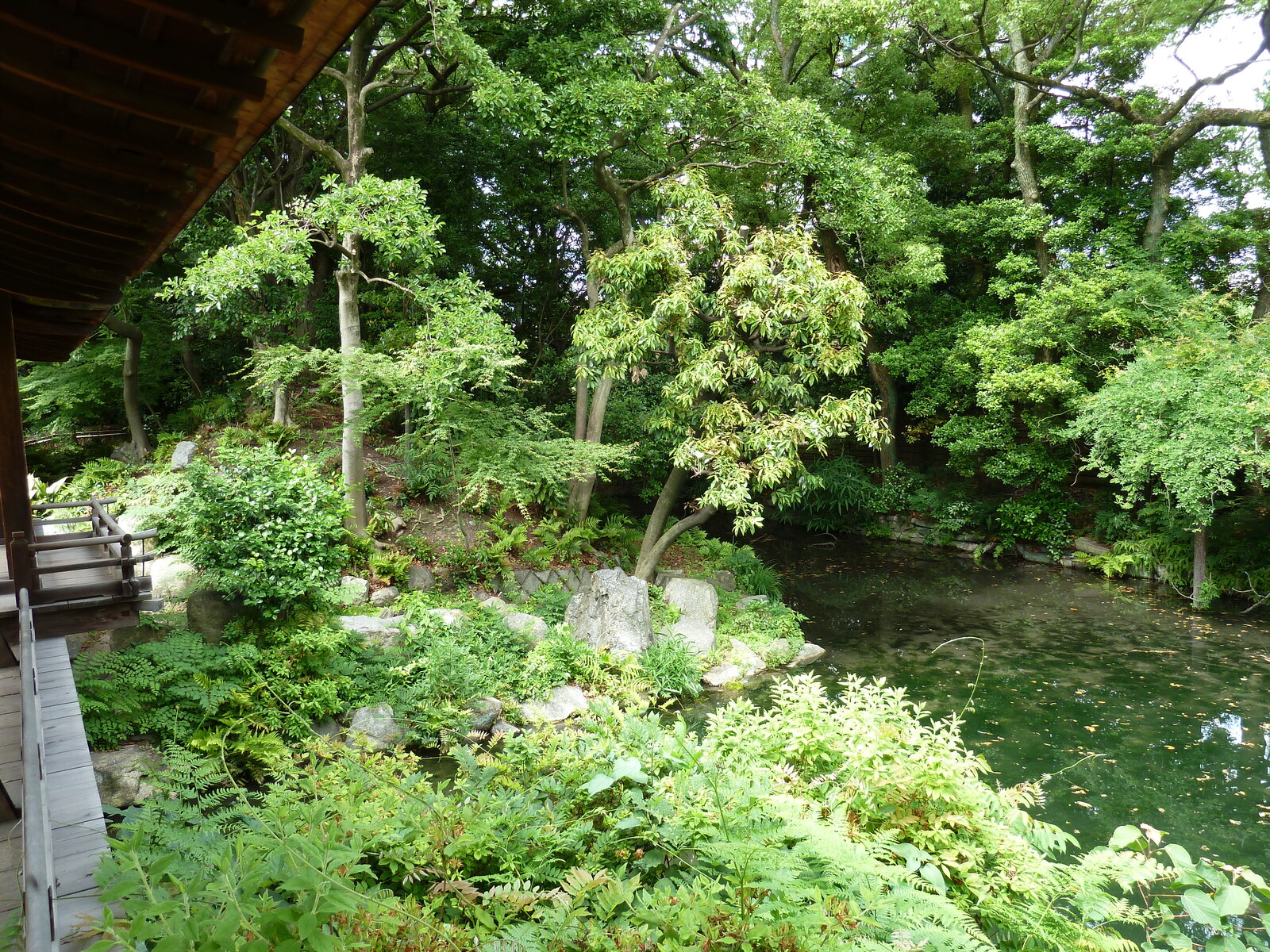 รูปถ่าย ญี่ปุ่น(Japan) เกียวโต(Kyoto) สวนโชเซเอ็ง(Shosei en Garden) 2010-06 41