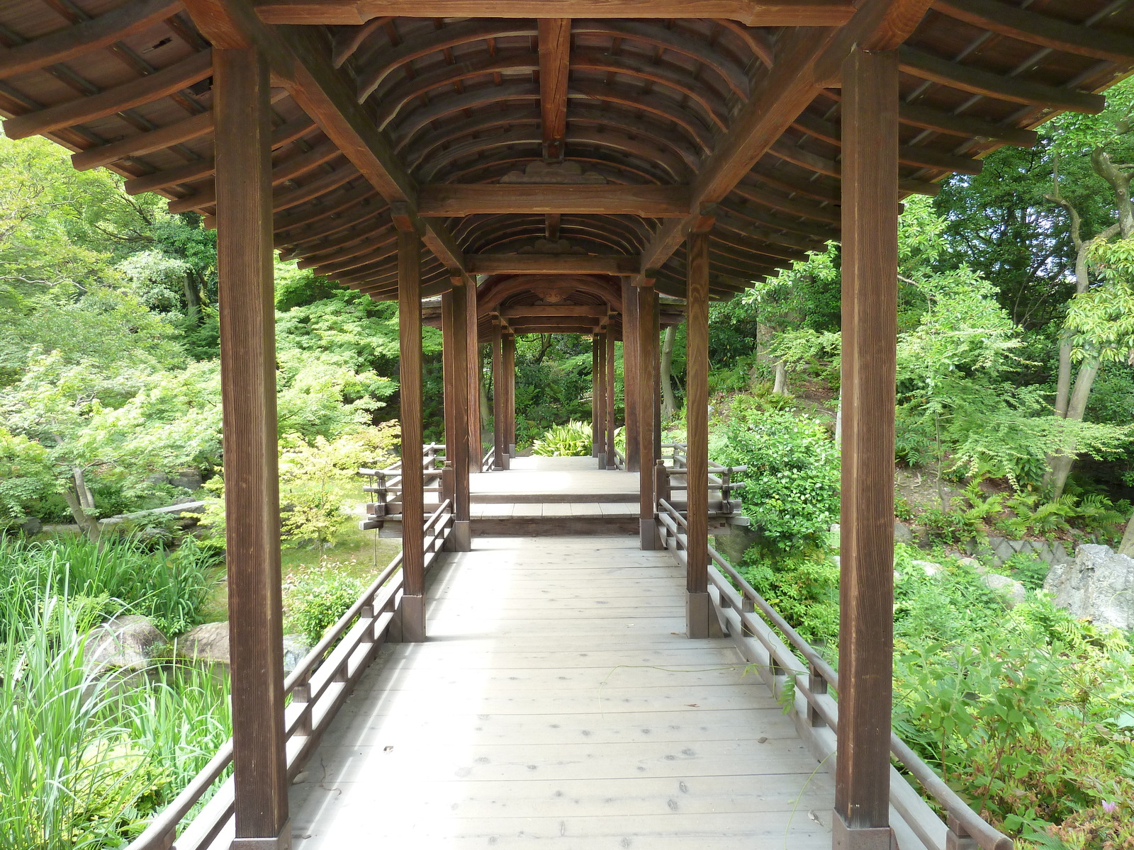 รูปถ่าย ญี่ปุ่น(Japan) เกียวโต(Kyoto) สวนโชเซเอ็ง(Shosei en Garden) 2010-06 42