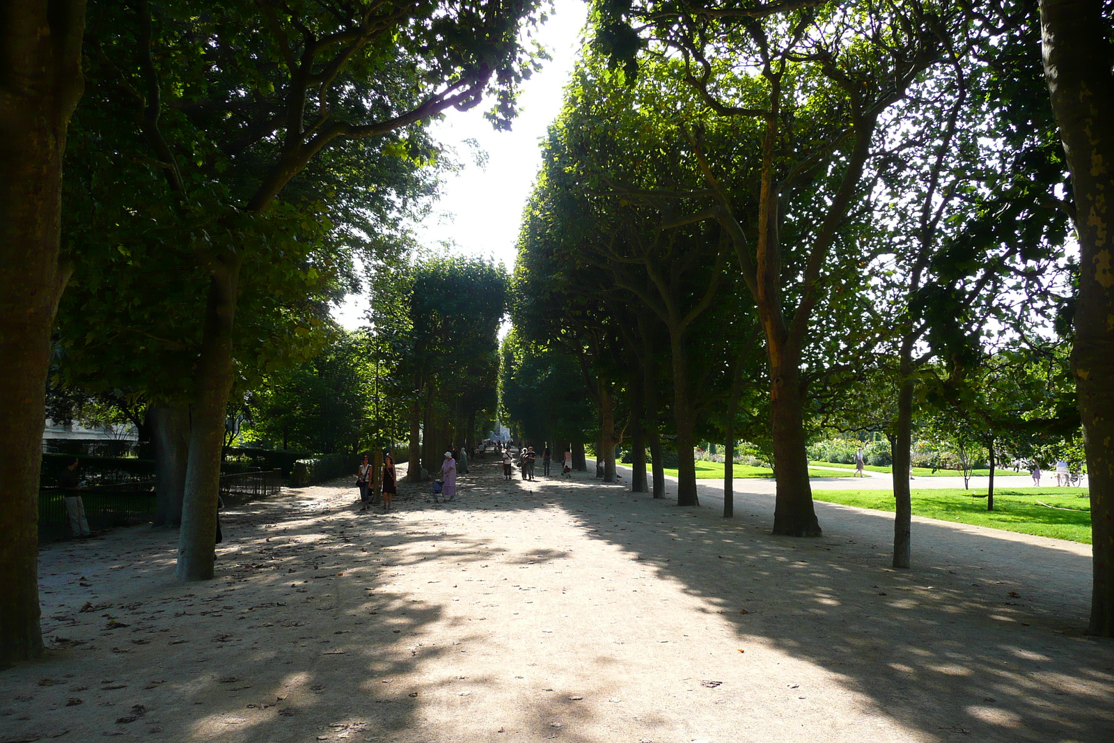 รูปถ่าย ฝรั่งเศส(France) ปารีส(Paris) สวนพันธ์ุพืช(Jardin des Plantes) 2007-08 228