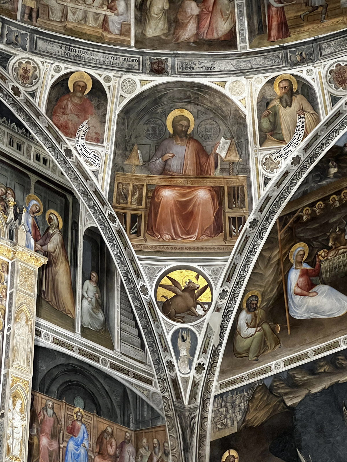 รูปถ่าย อิตาลี(Italy) ปาโดวา(Padua) 2022-05 114