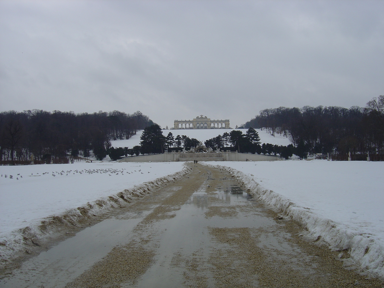 รูปถ่าย ออสเตรีย(Austria) เวียนนา(Vienna) 2005-03 58