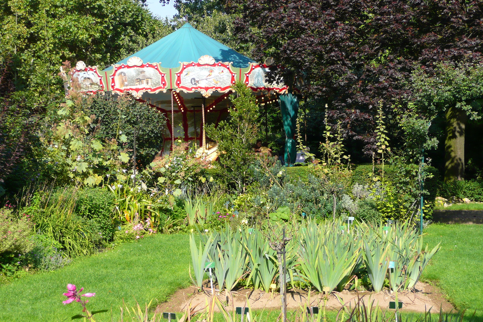 รูปถ่าย ฝรั่งเศส(France) ปารีส(Paris) สวนพันธ์ุพืช(Jardin des Plantes) 2007-08 5