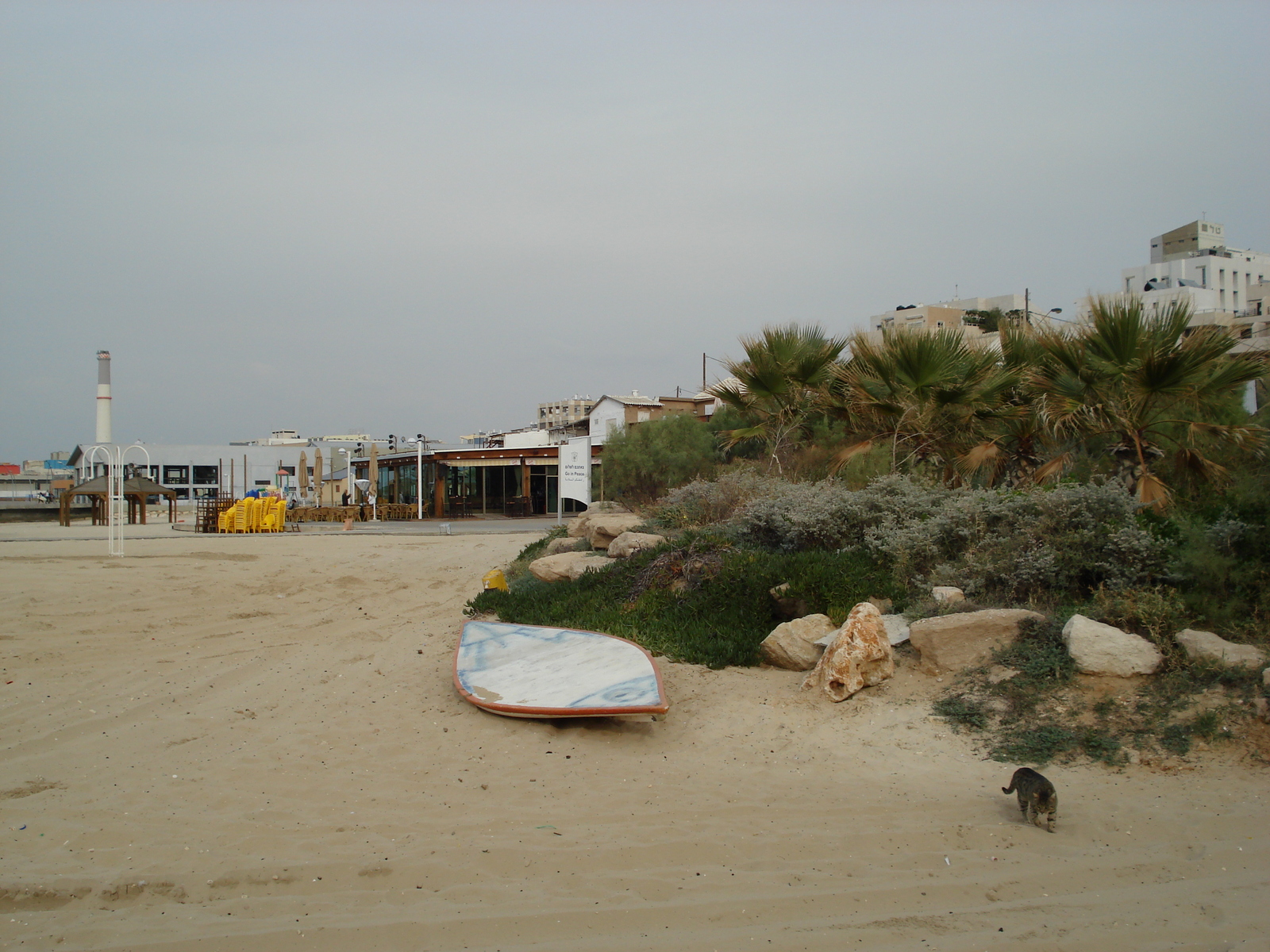 รูปถ่าย อิสราเอล(Israel) เทลอาวีฟ(Tel Aviv) ชายหาดเทลอาวีฟ(Tel Aviv Sea Shore) 2006-12 160