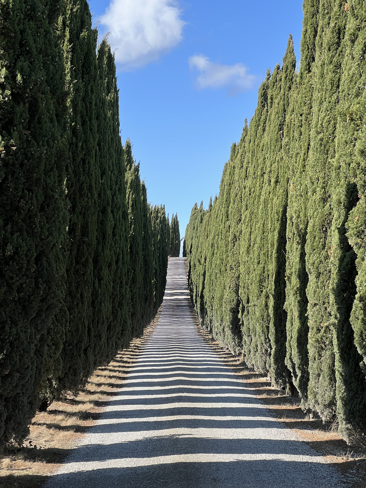 รูปถ่าย อิตาลี(Italy) ทัสคานี(Tuscany) 2021-09 26