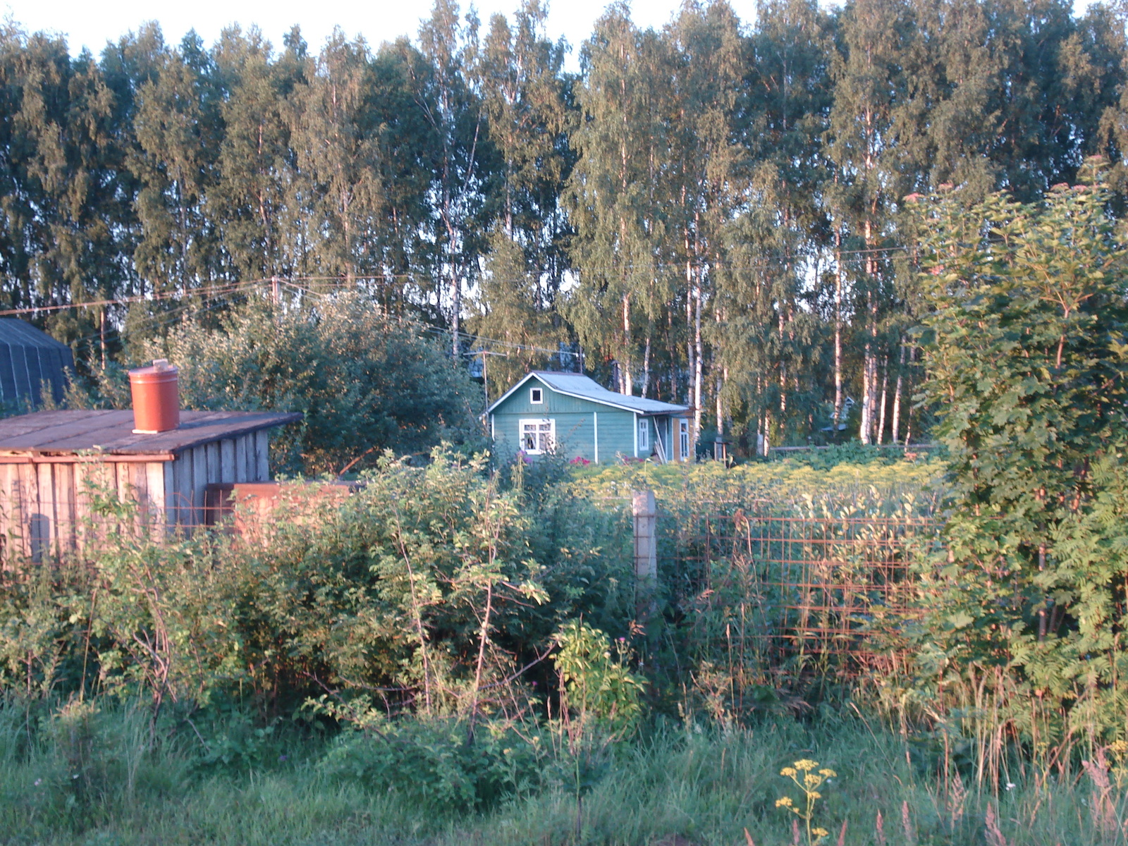 รูปถ่าย รัสเซีย(Russia) จากซูซดัลไปยาโรสลาฟล์(From Suzdal to Yaroslavl) 2006-07 22