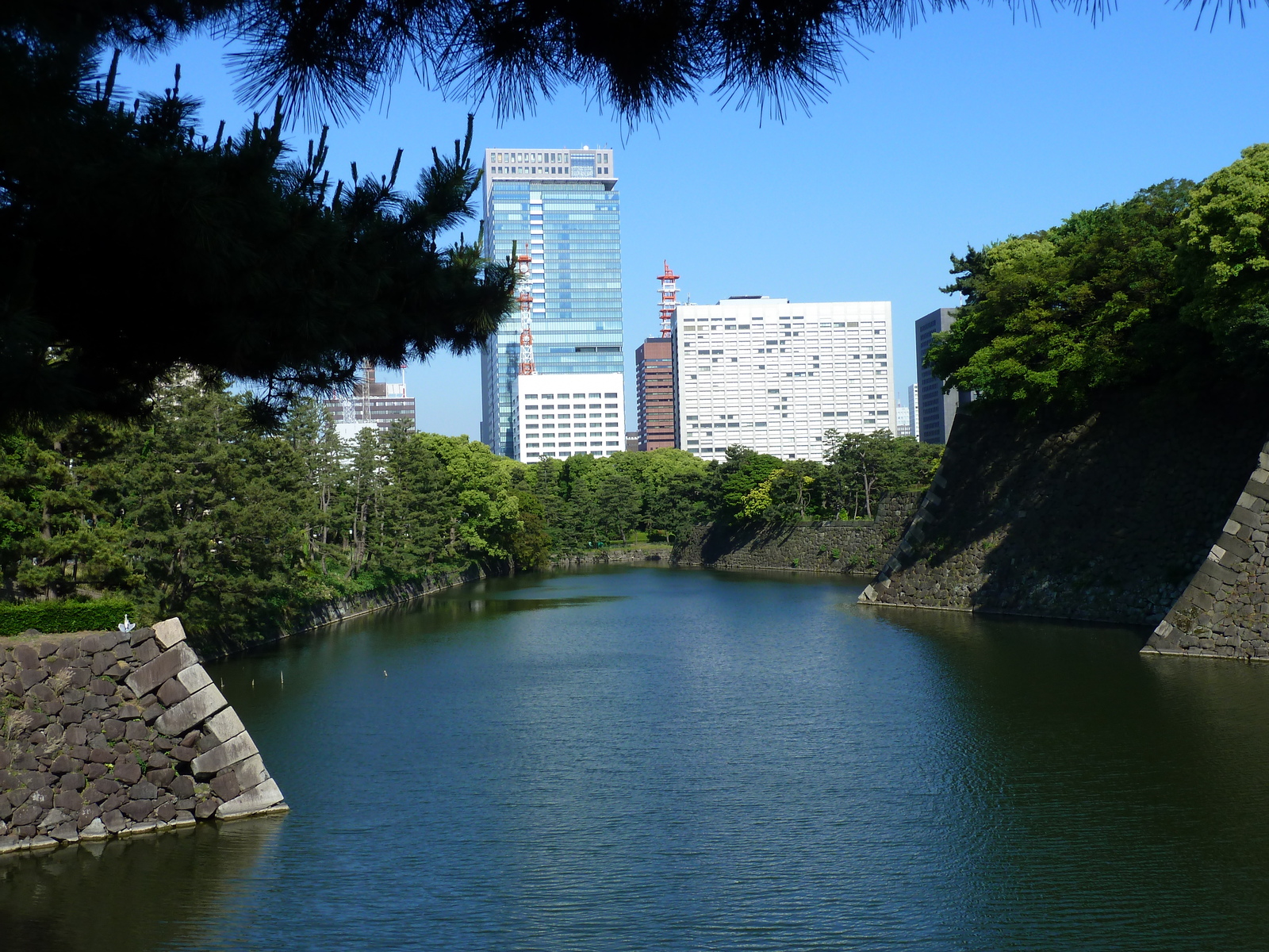 รูปถ่าย ญี่ปุ่น(Japan) โตเกียว(Tokyo) พระราชวังหลวง(Imperial Palace) 2010-06 24