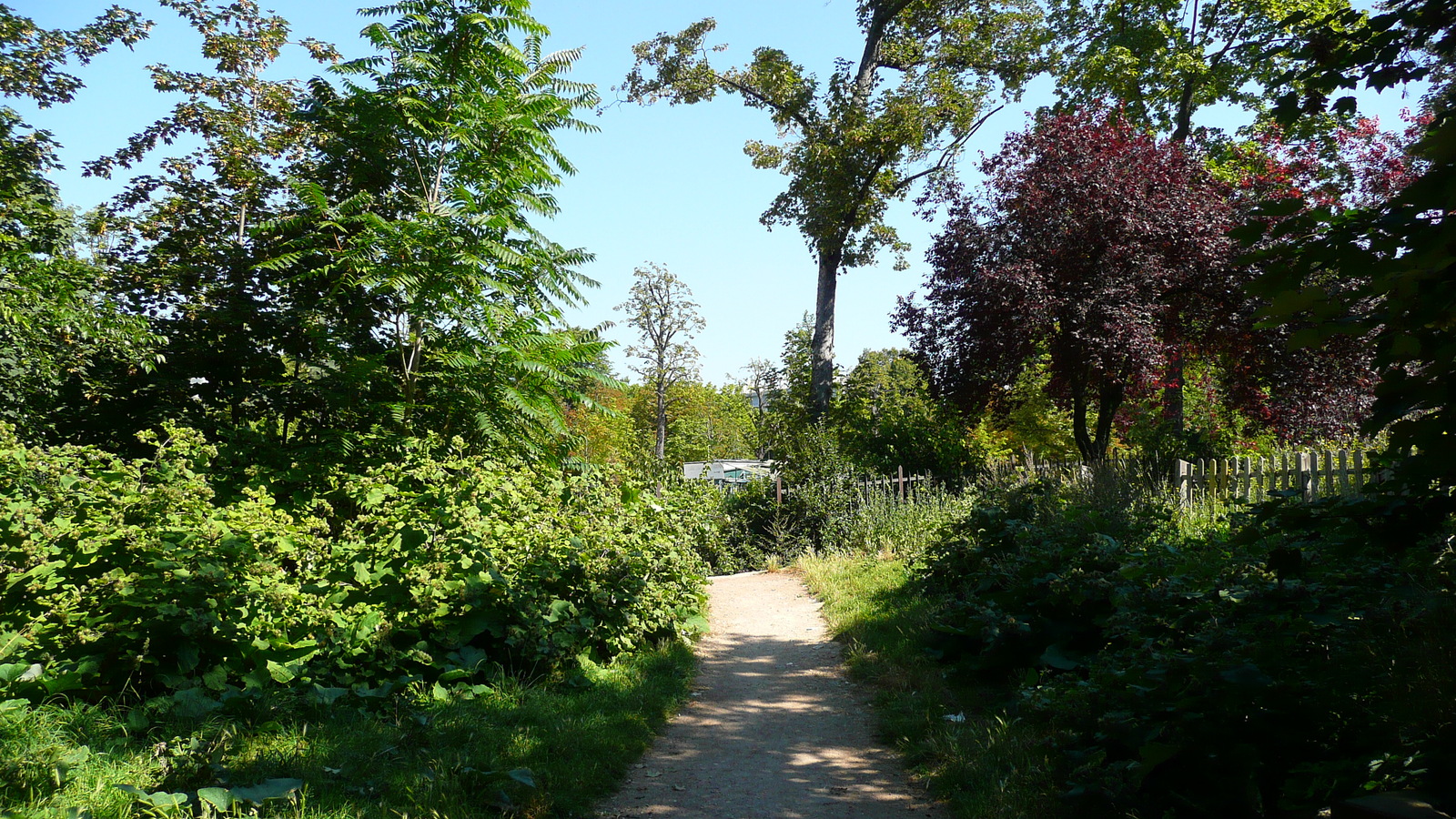 รูปถ่าย ฝรั่งเศส(France) ปารีส(Paris) สวนราเนอลาก(Jardins du Ranelagh) 2007-08 12