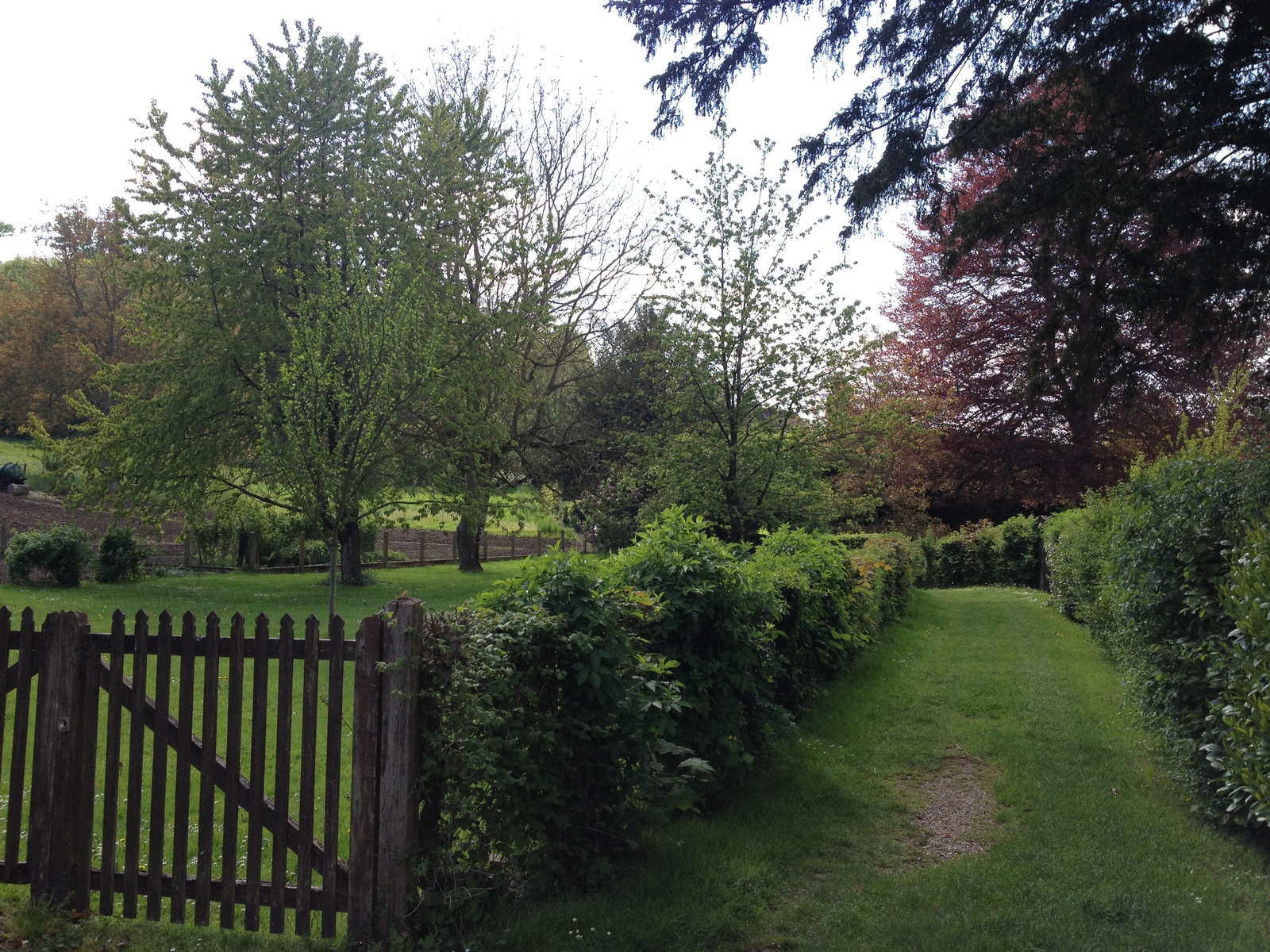 รูปถ่าย ฝรั่งเศส(France) ลียงส์-ลา-ฟอแร(Lyons La Foret) 2014-05 29