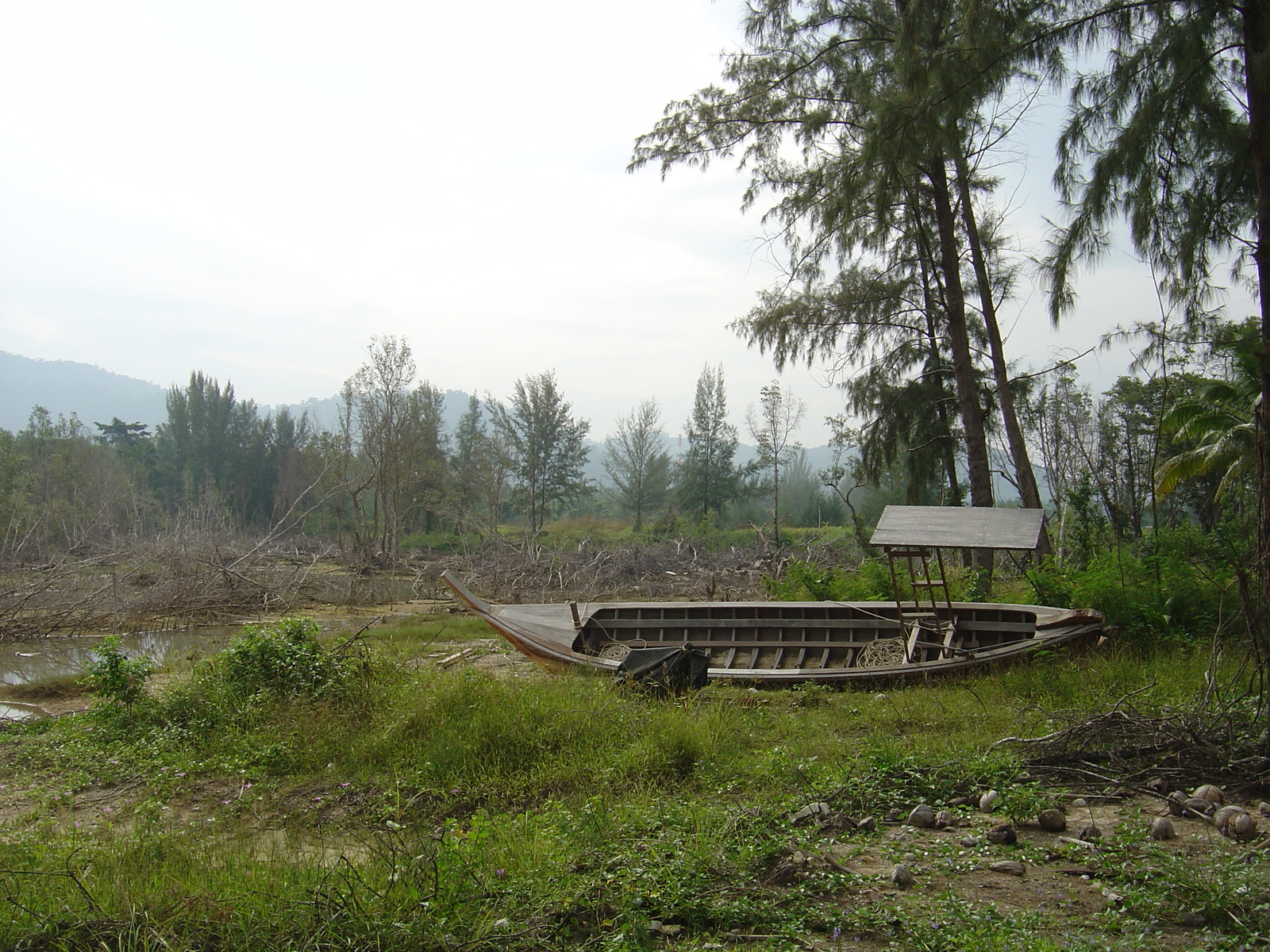 รูปถ่าย ไทย(Thailand) เขาหลัก(Khao Lak) หาดบางสัก(Bang Sak Beach) 2005-12 34