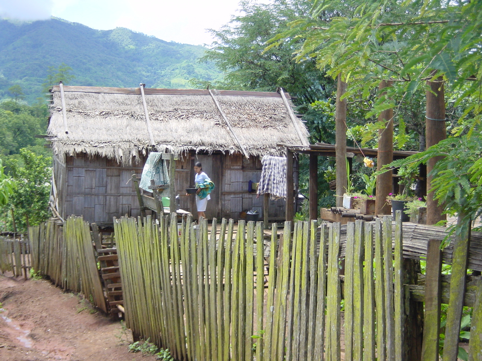 รูปถ่าย ไทย(Thailand) แม่ฮ่องสอน(Mae Hong Son) 2003-07 97