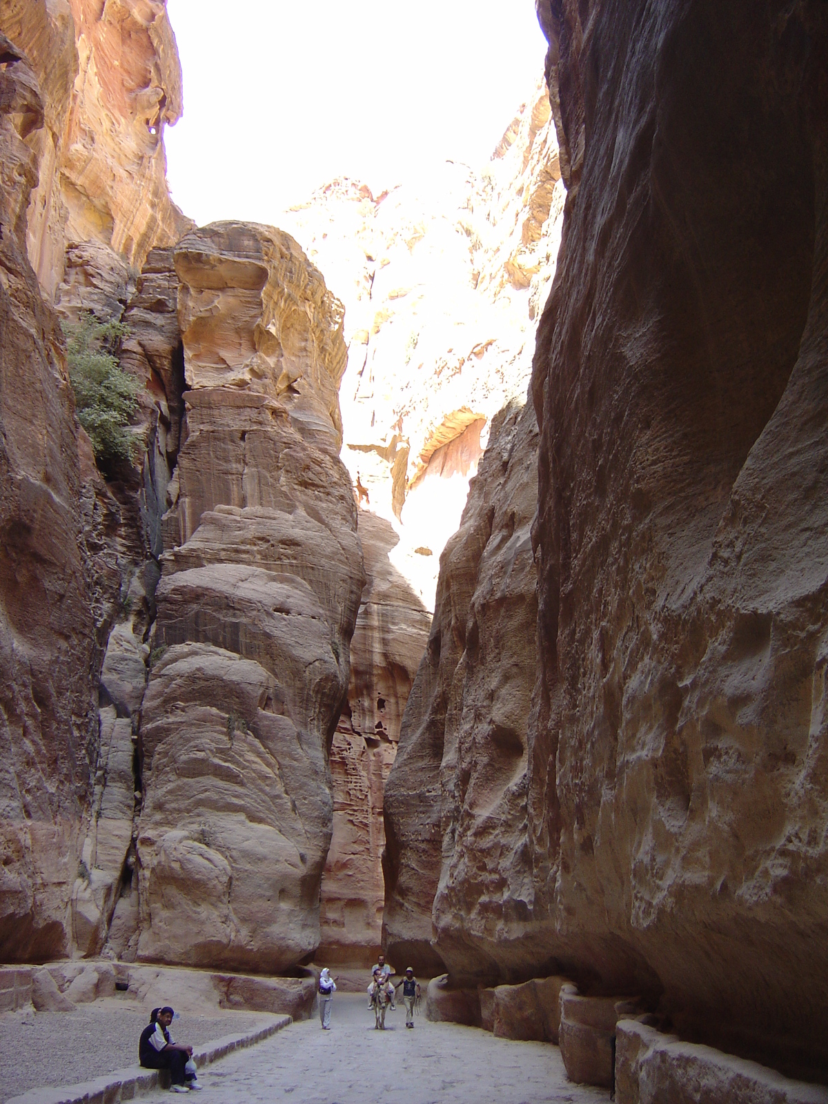 รูปถ่าย จอร์แดน(Jordan) เปตร้า(Petra) 2004-10 8