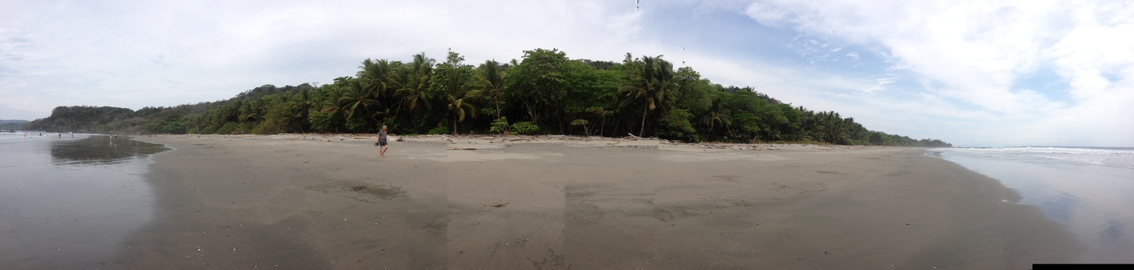 รูปถ่าย คอสตาริกา(Costa Rica) มอนเตซูมา(Montezuma) 2015-03 203