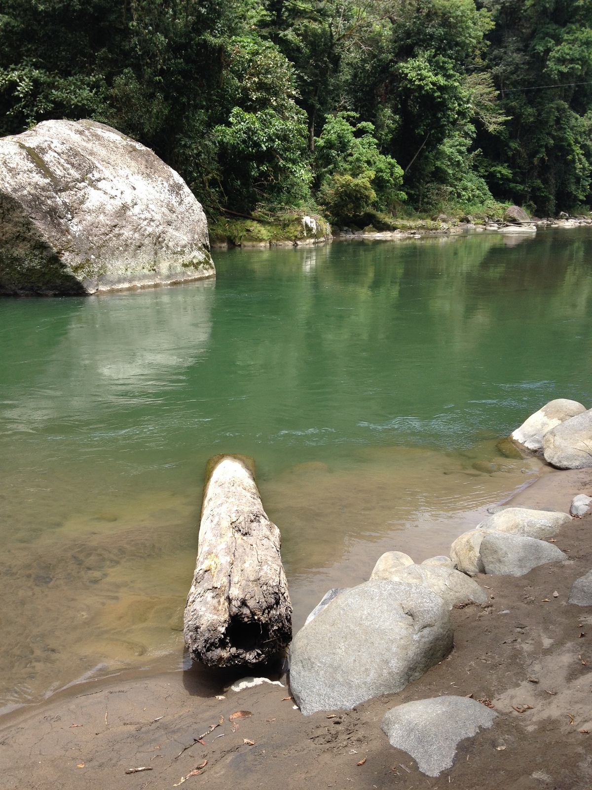 รูปถ่าย คอสตาริกา(Costa Rica) แม่น้ำปากัวเร(Pacuare River) 2015-03 255