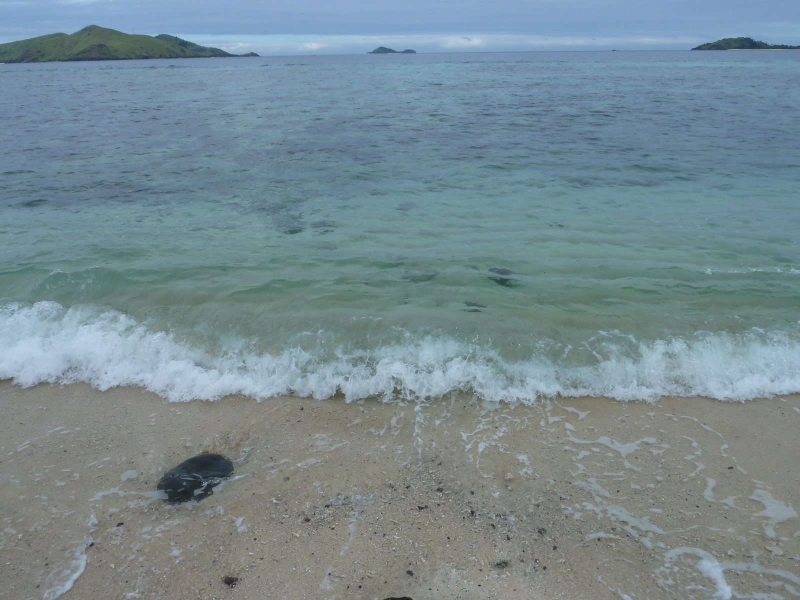 รูปถ่าย ฟิจิ(Fiji) รีสอร์ตเกาะอามูนูกา(Amunuca Island Resort) 2010-05 136