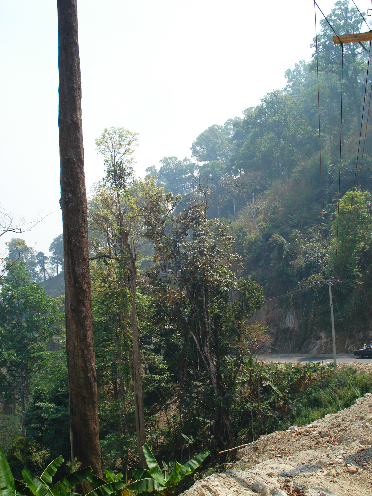รูปถ่าย ไทย(Thailand) ถนนจากปางมะผ้าไปปาย(Pang Mapha to Pai road) 2007-02 56