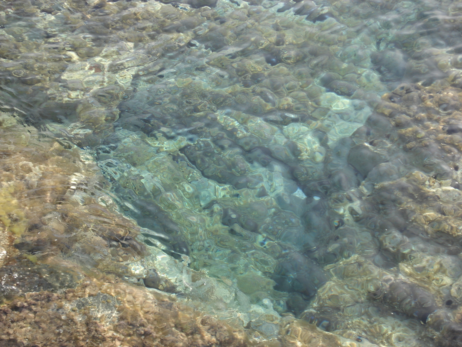 รูปถ่าย ฝรั่งเศส(France) คอร์สิคา(Corsica) ลูมิโอ่(Lumio) 2006-09 26