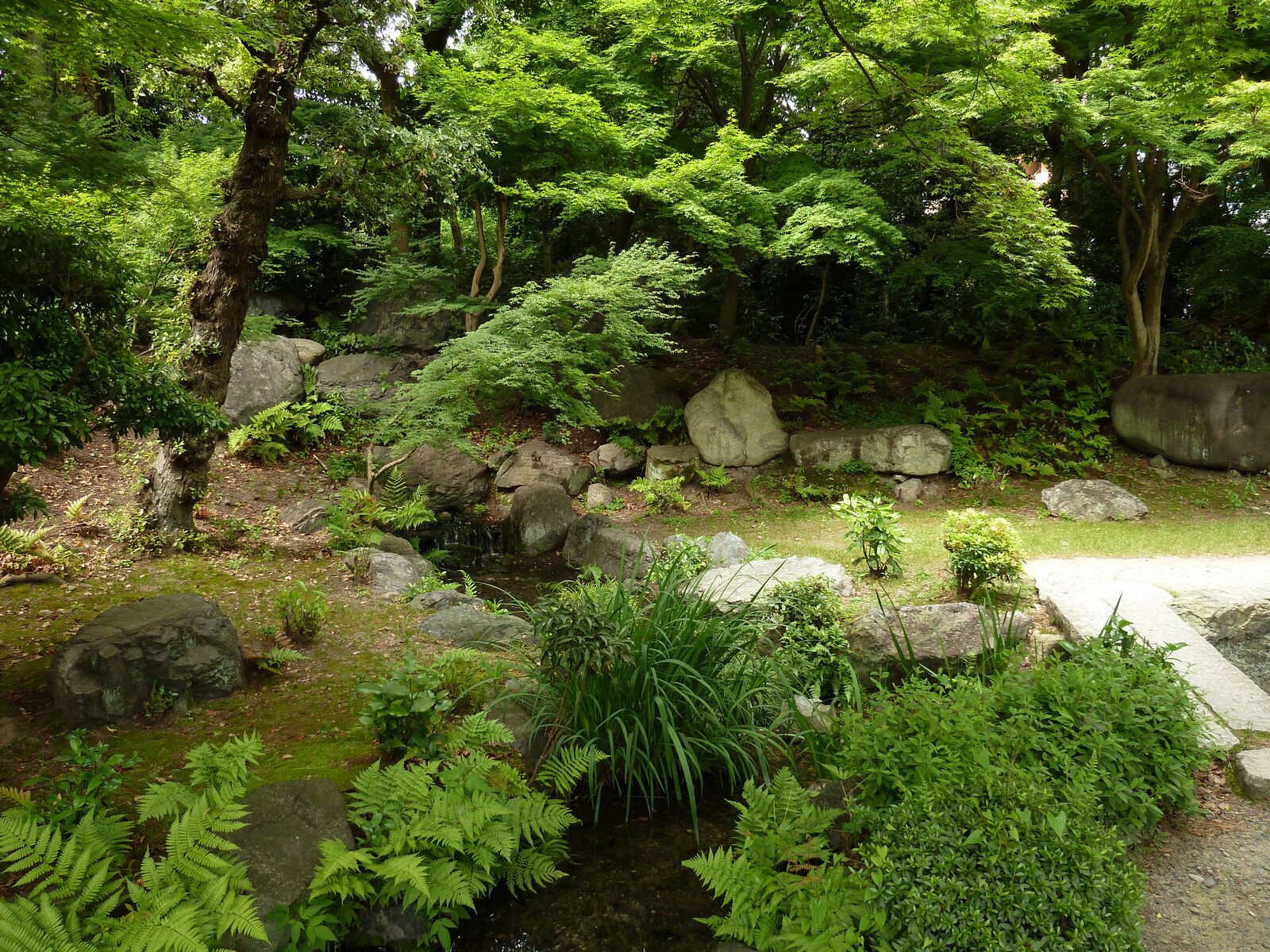 รูปถ่าย ญี่ปุ่น(Japan) เกียวโต(Kyoto) สวนโชเซเอ็ง(Shosei en Garden) 2010-06 32