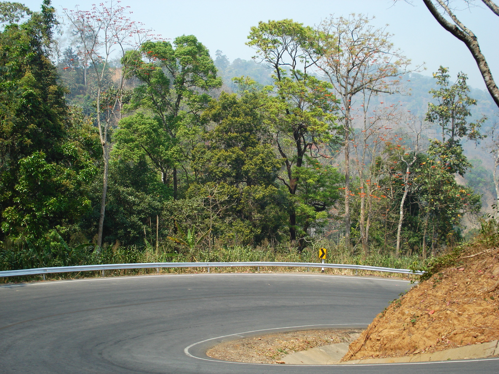 รูปถ่าย ไทย(Thailand) ถนนจากปางมะผ้าไปปาย(Pang Mapha to Pai road) 2007-02 59