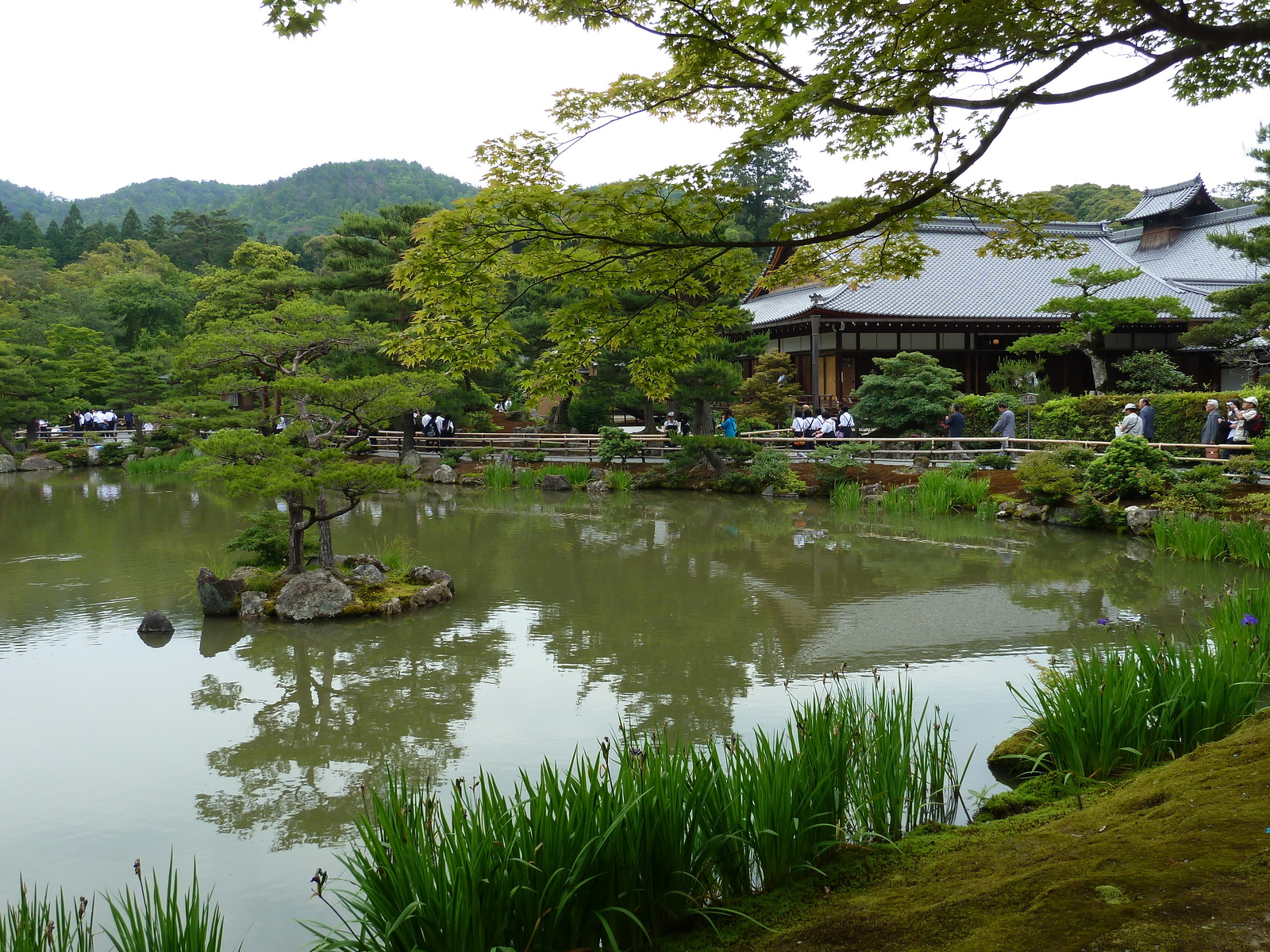 รูปถ่าย ญี่ปุ่น(Japan) เกียวโต(Kyoto) วัดคินกะกุจิ (ศาลาทอง)(Kinkakuji Temple(Golden Pavilion)) 2010-06 18