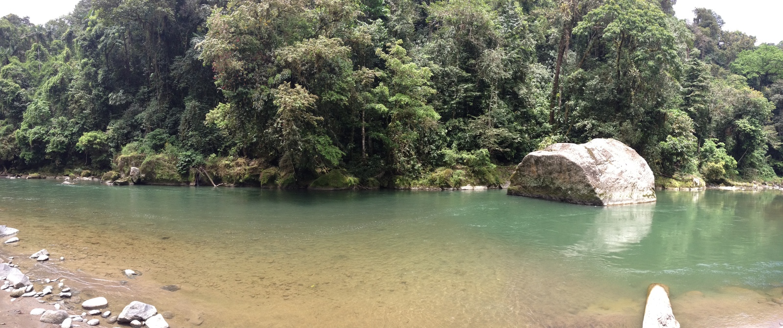 รูปถ่าย คอสตาริกา(Costa Rica) แม่น้ำปากัวเร(Pacuare River) 2015-03 212