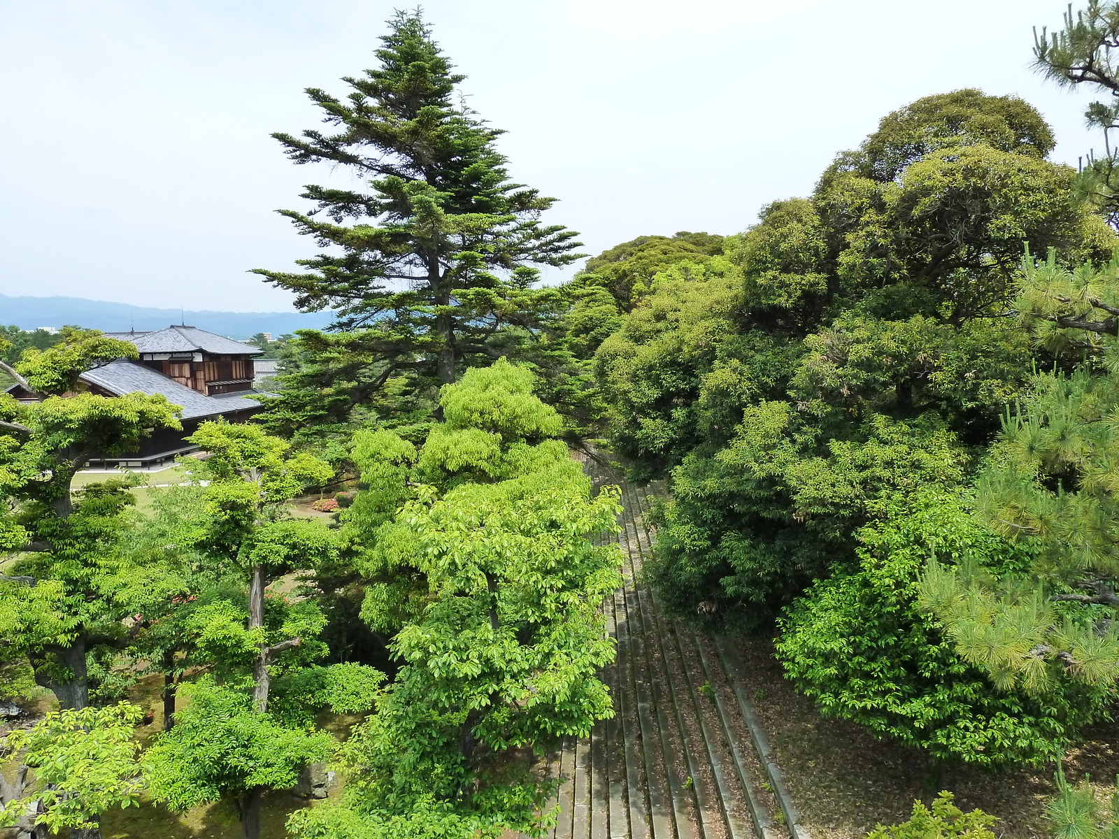 รูปถ่าย ญี่ปุ่น(Japan) เกียวโต(Kyoto) ปราสาทนิโจ(Nijo Castle) พระราชวังฮมมะรุ(Honmaru Palace) 2010-06 22