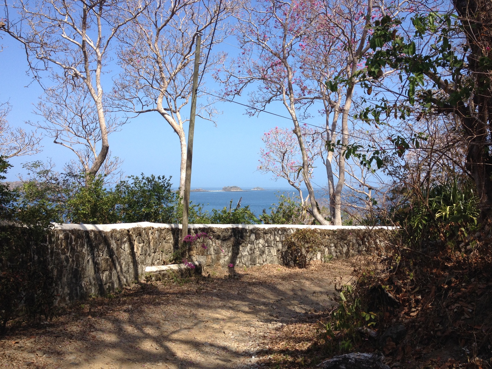 รูปถ่าย ปานามา(Panama) เกาะคอนตาโดรา(Contadora Island) 2015-03 79